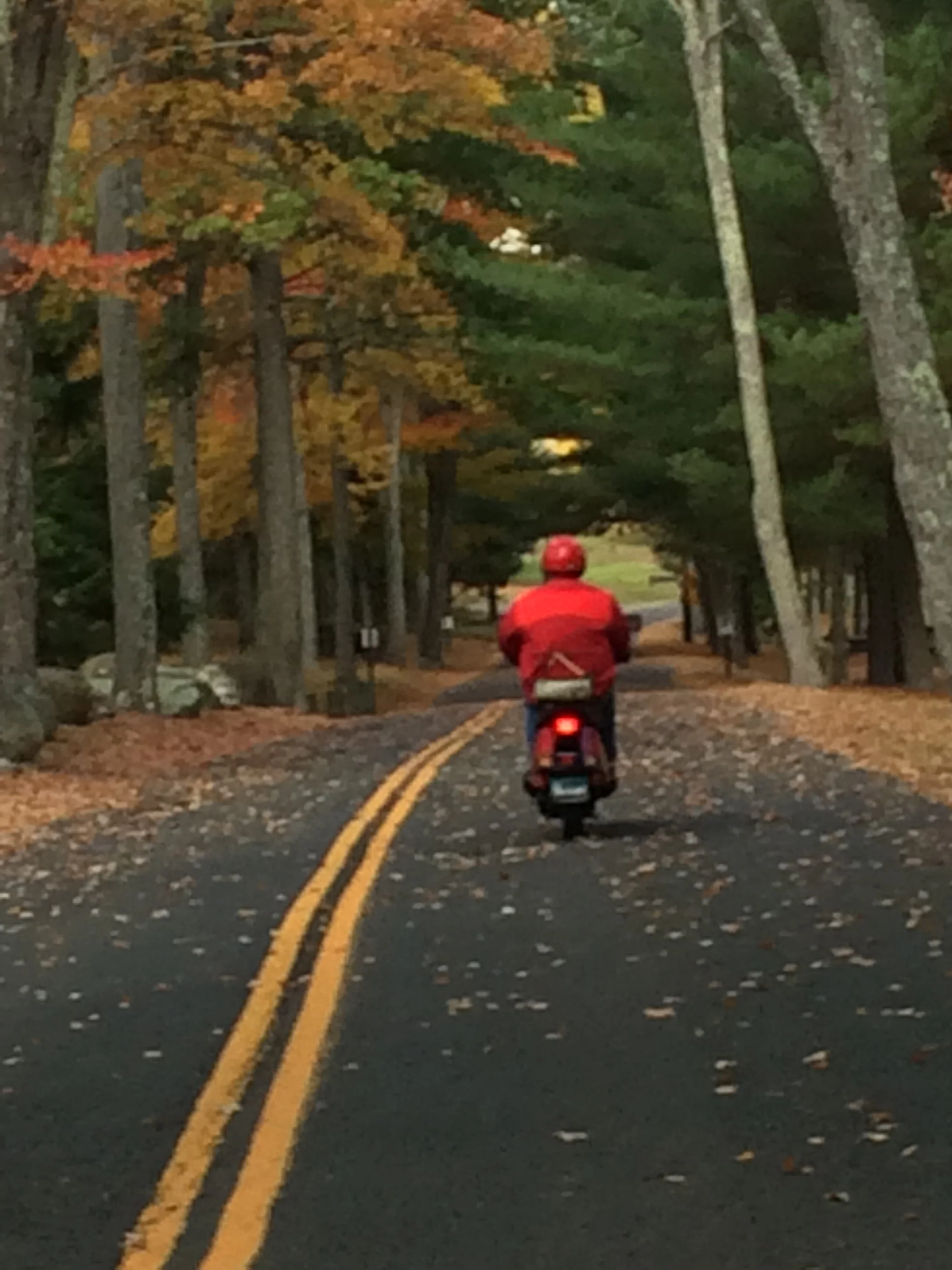 Pete Chris Scooter9.JPG