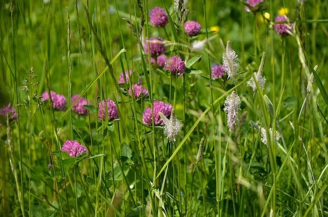 Beyond the Summer Grass - Seasonal Management on the Ranch