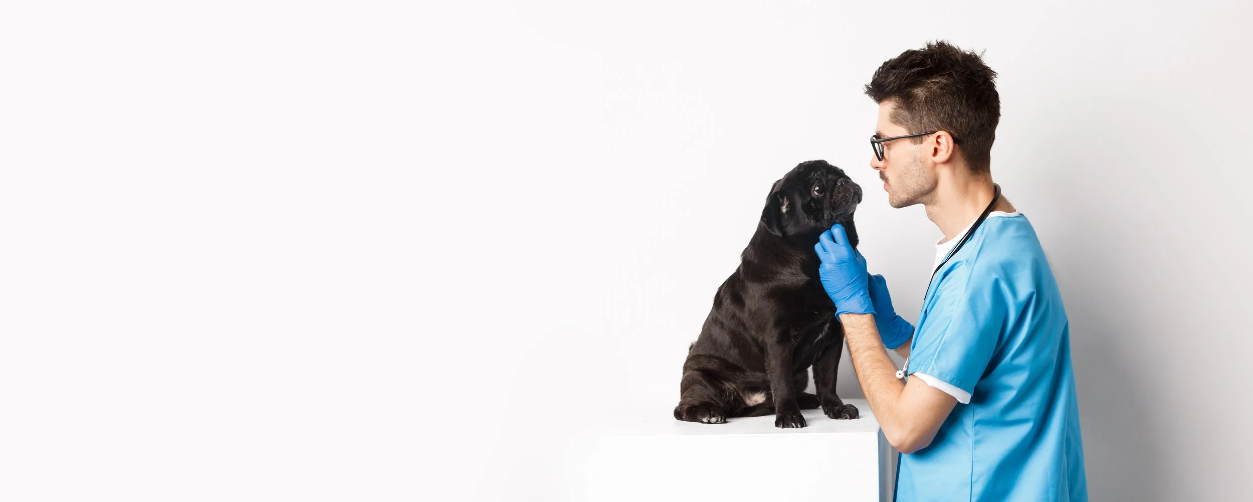 Graphic showing a veterinarian examining a dog alongside text reading “The ‘What You Do’ Email,” describing how businesses use this email to give context about their services and explain what they offer.
