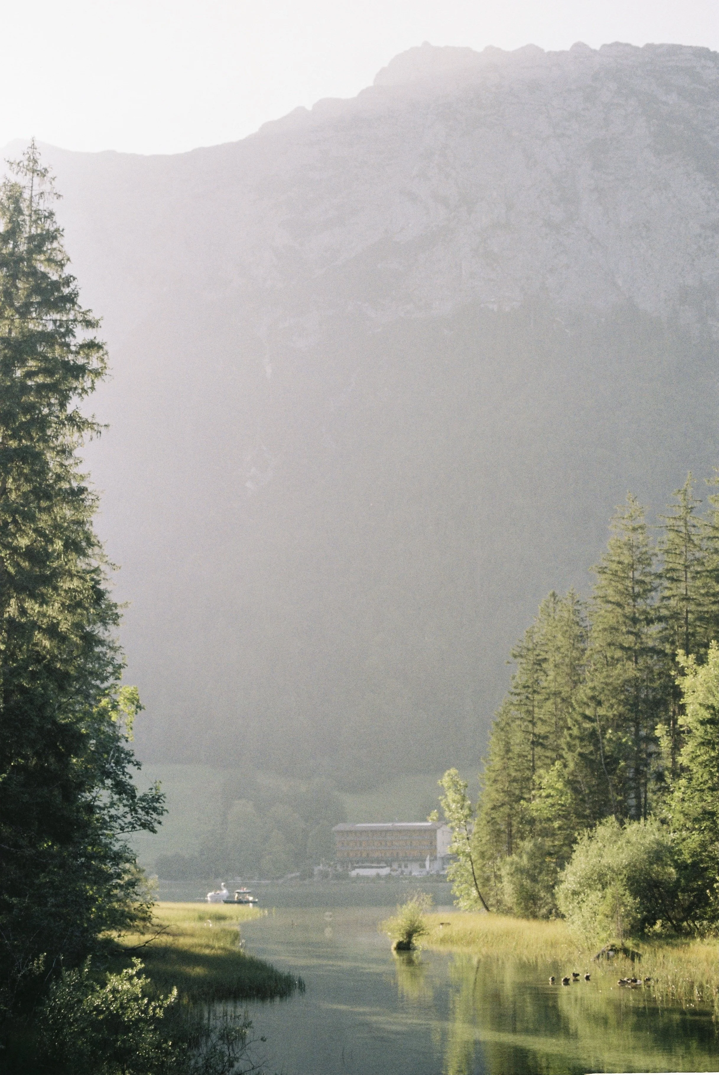 bad reichenhall 2021