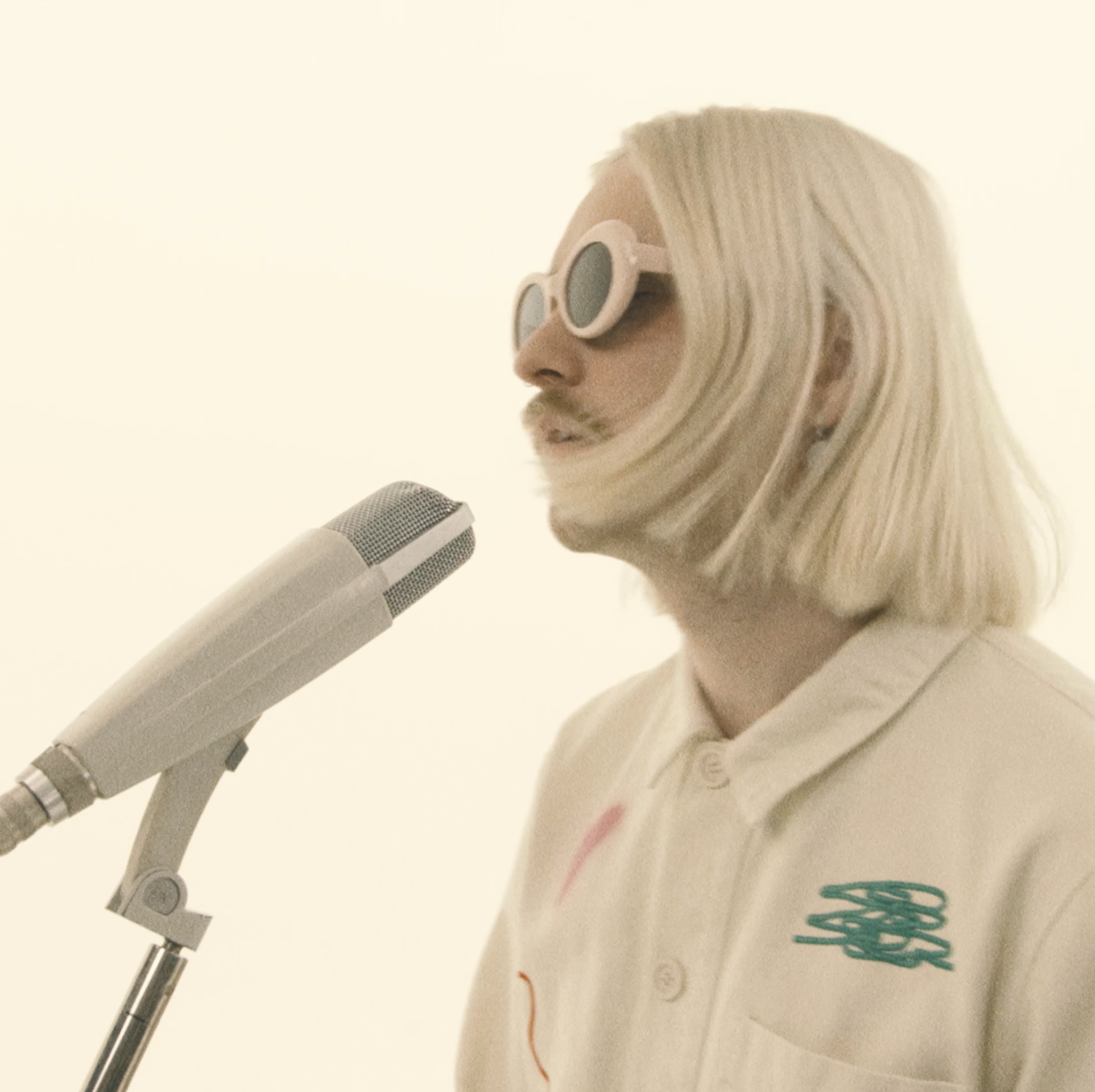 dolphin love - BANGALOW