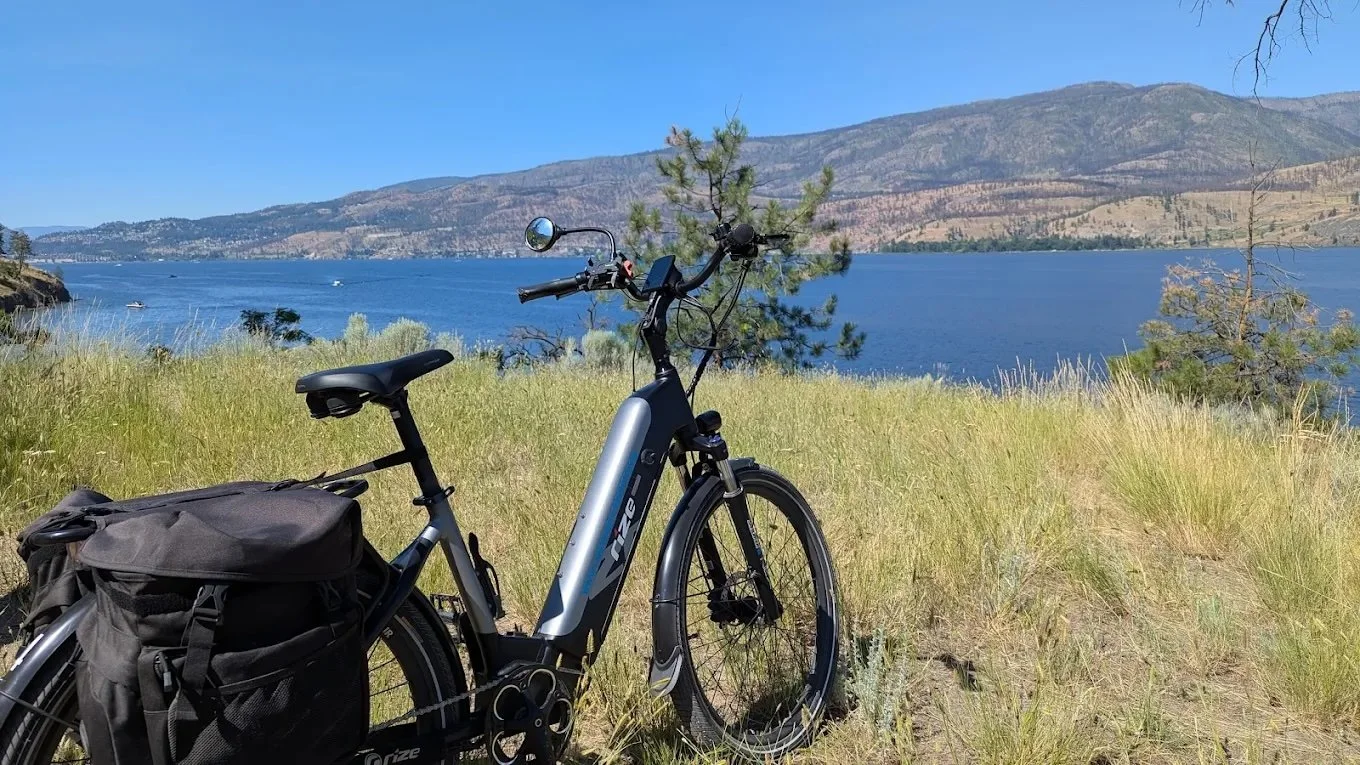 1. Lakeviews - Picnic Tour.jpeg