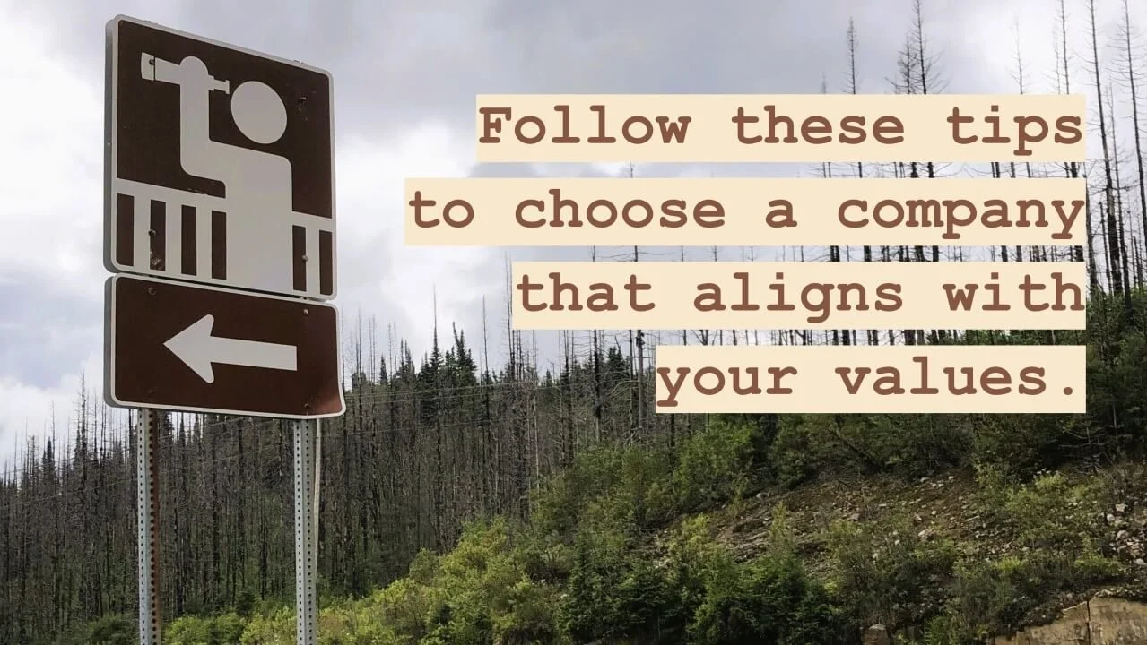 How do you gage a company culture during your job search?