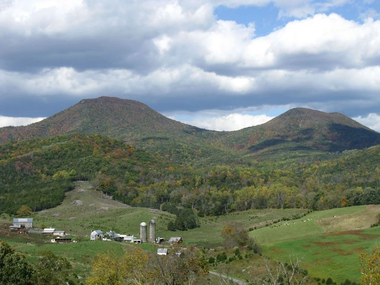 Homes With Acreage Near Lexington VA: What Buyers Should Know Before Purchasing Land