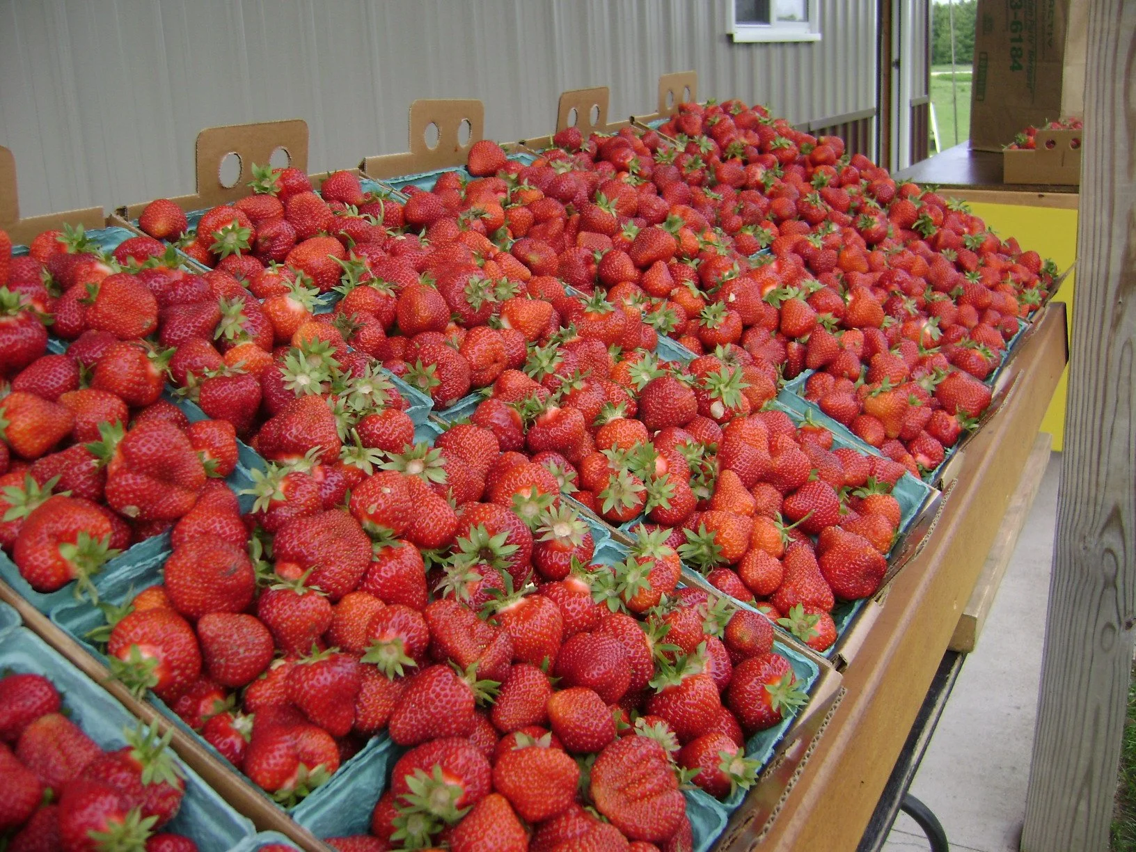 may-28-2012-003.jpg