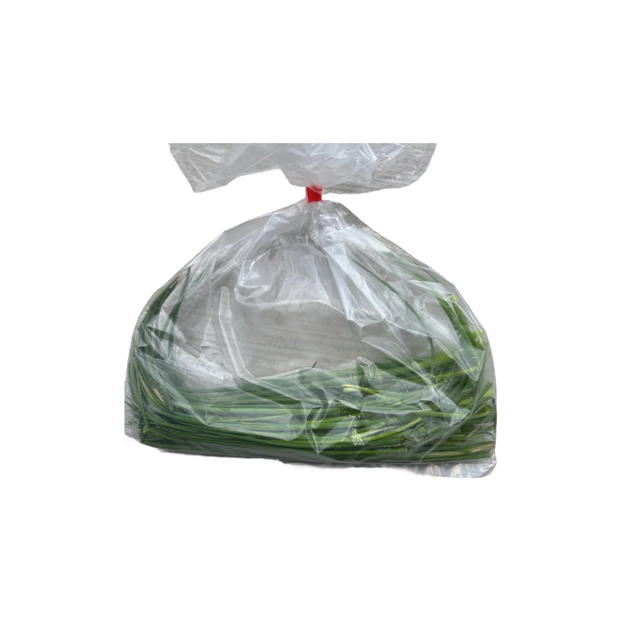 chives | Full Circle Farm