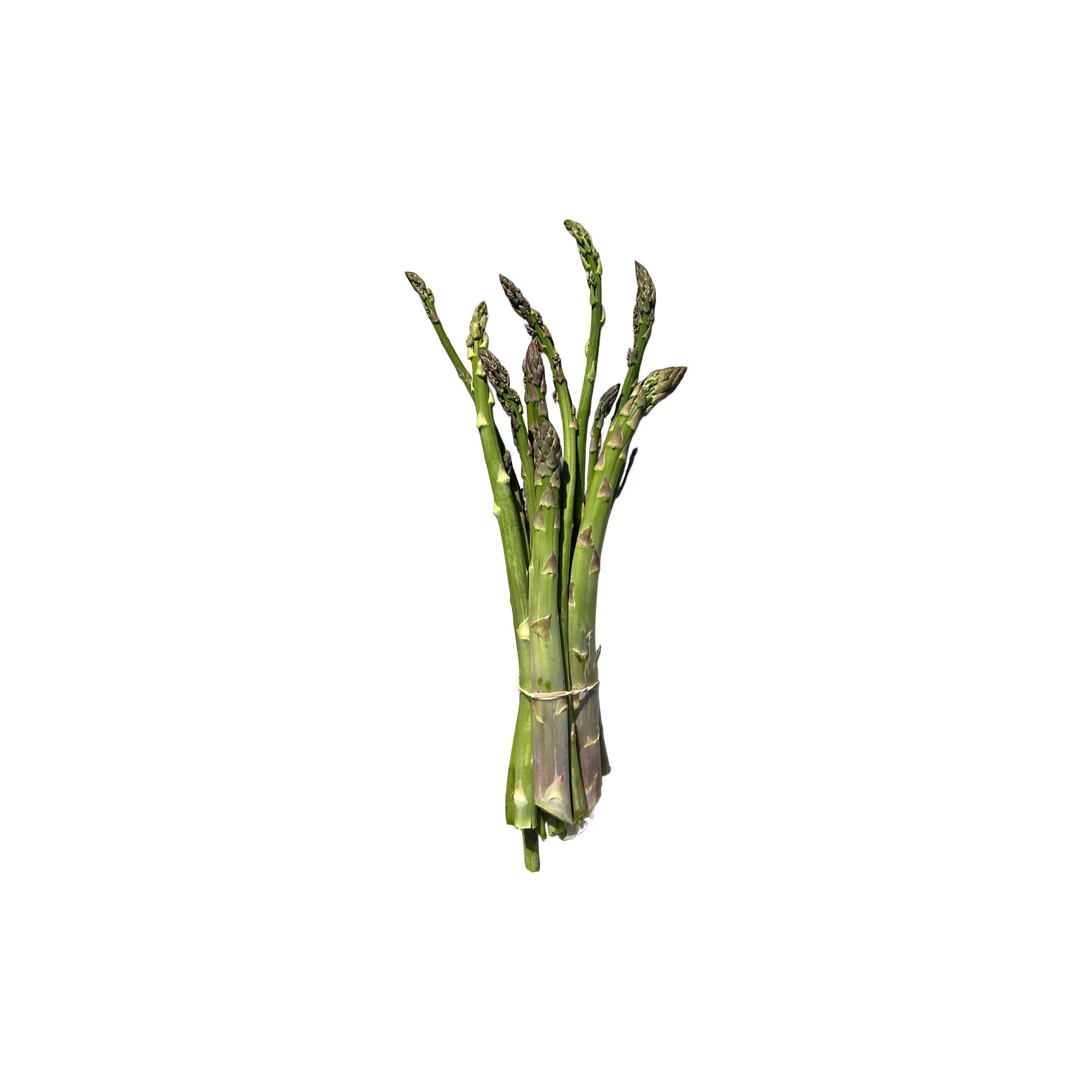 asparagus | G Farm