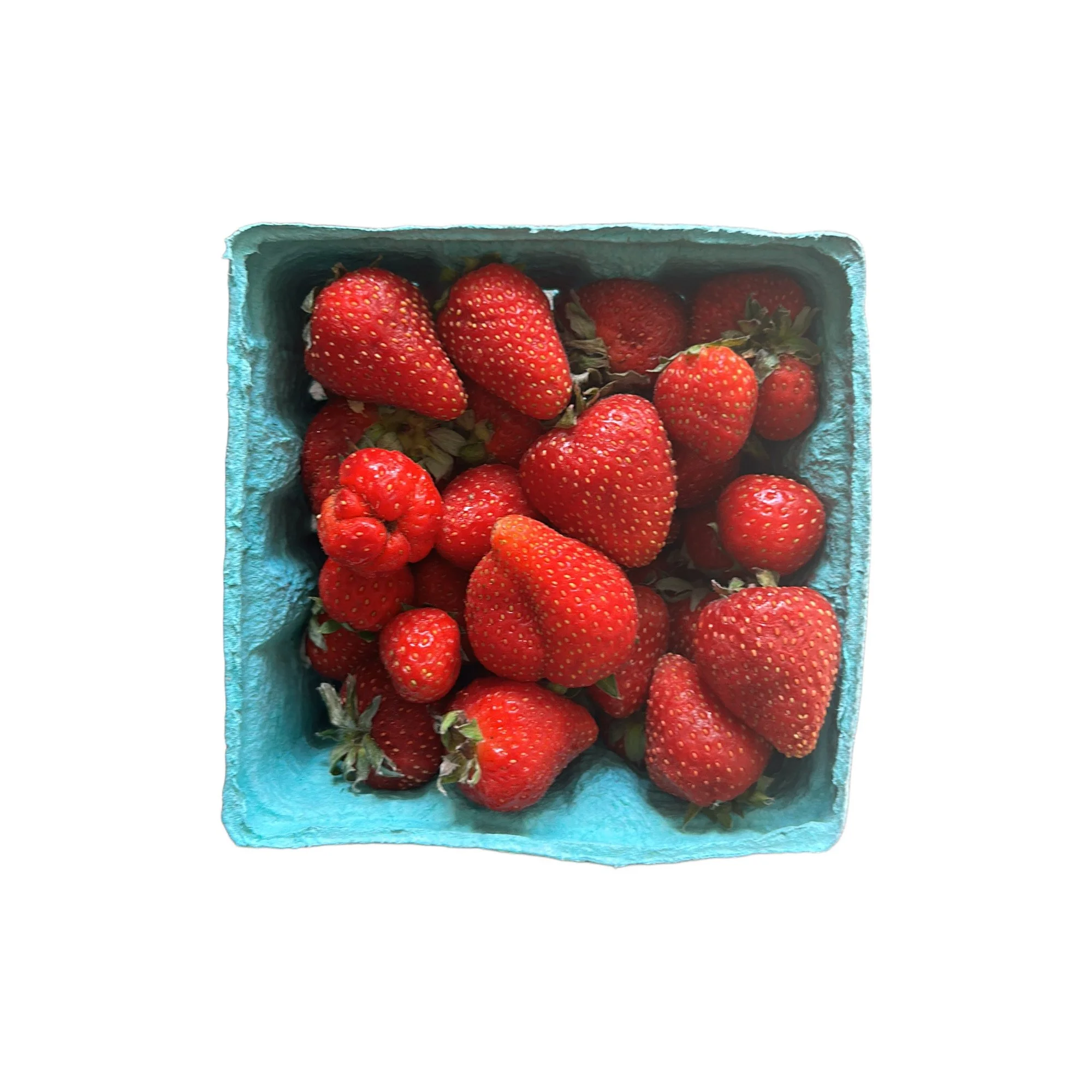 strawberries | Porter's Patch Farm