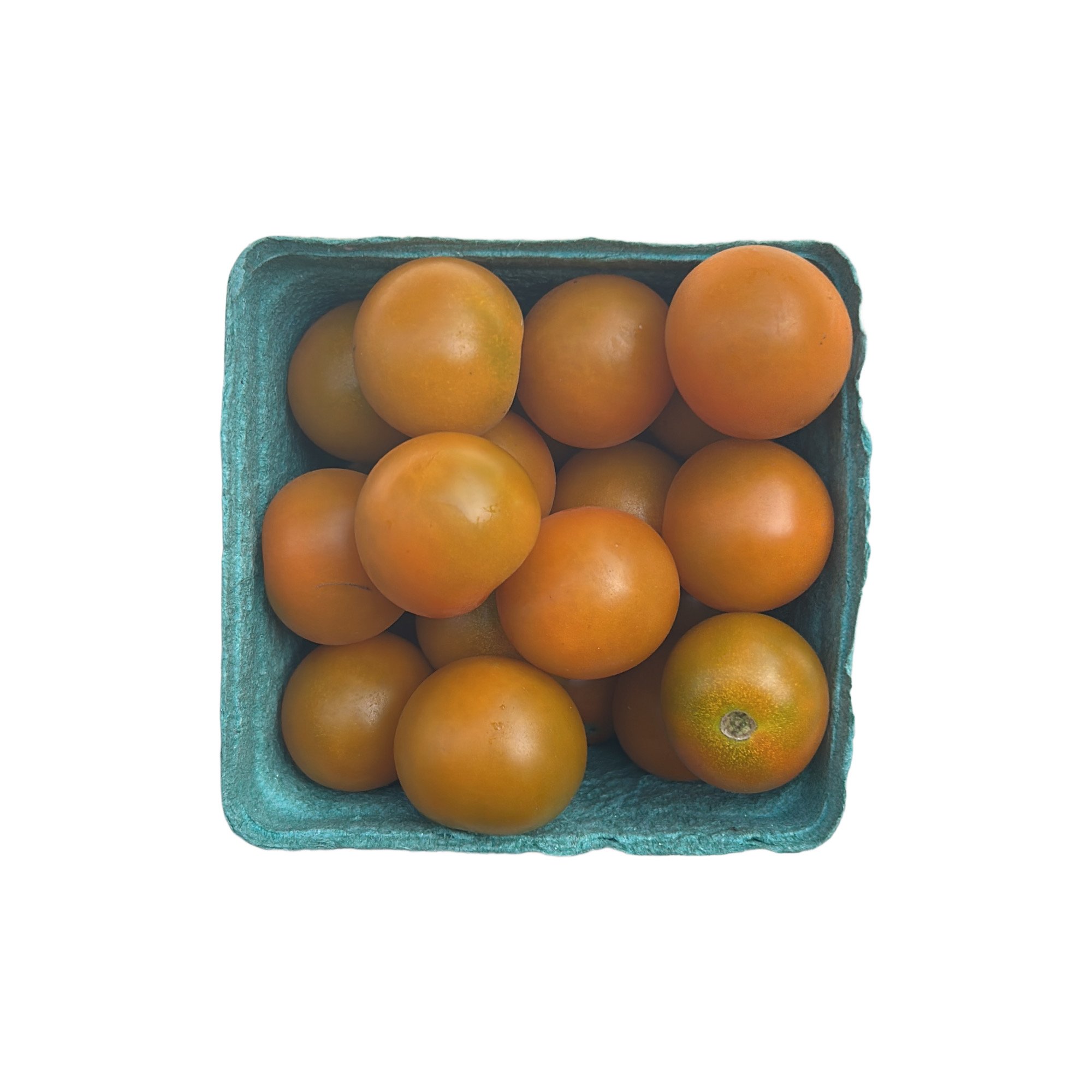 tomatoes, sungold cherry | Full Circle Farm
