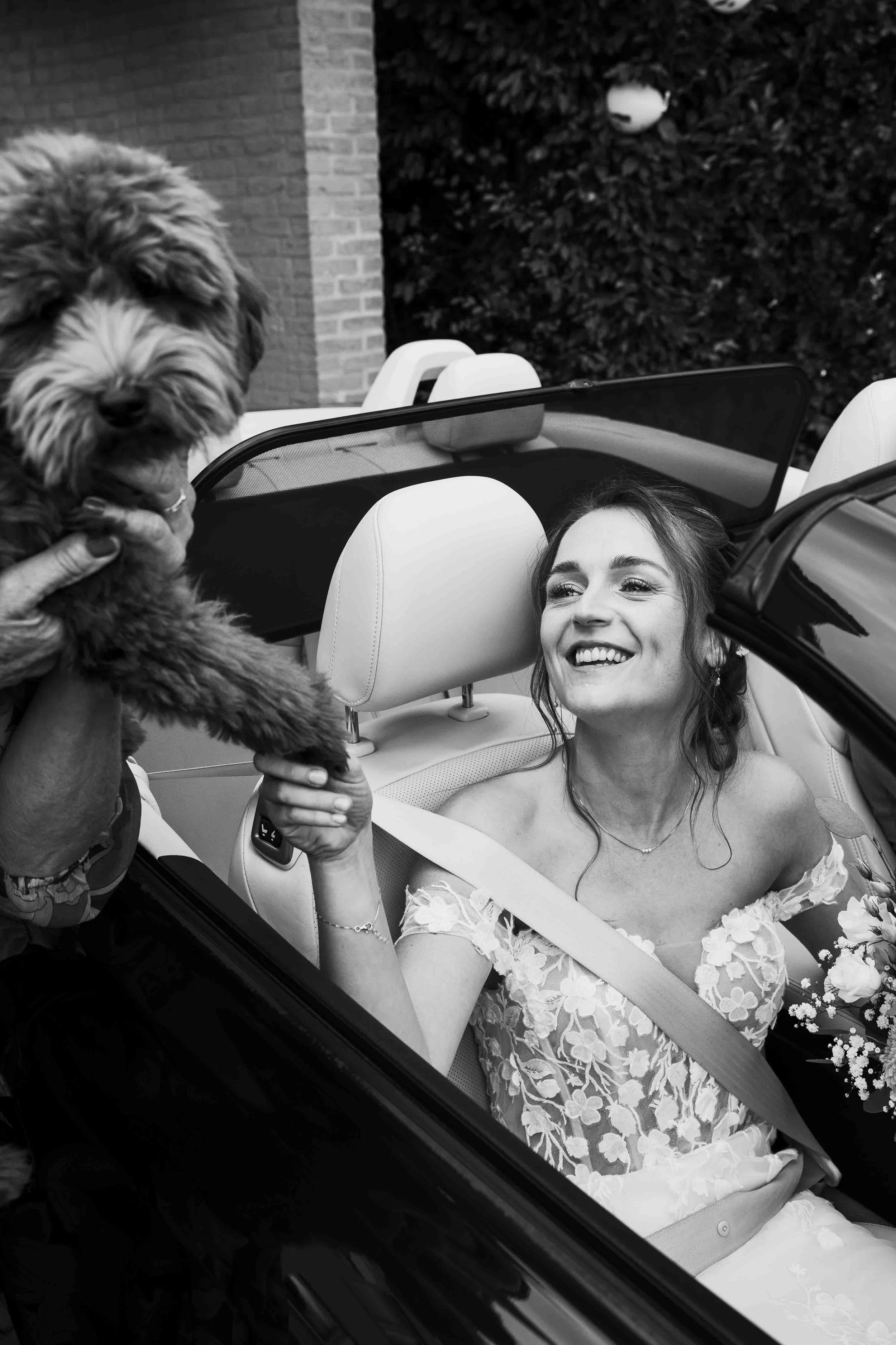 bruid in een cabrio en ze lacht naar haar hond
