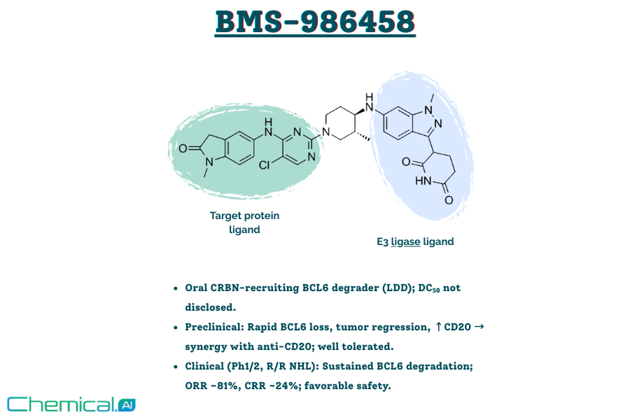 Bridging Biology and Chemistry: BCL6, BMS-986458, and AI-Predicted Routes to Scalable Degraders