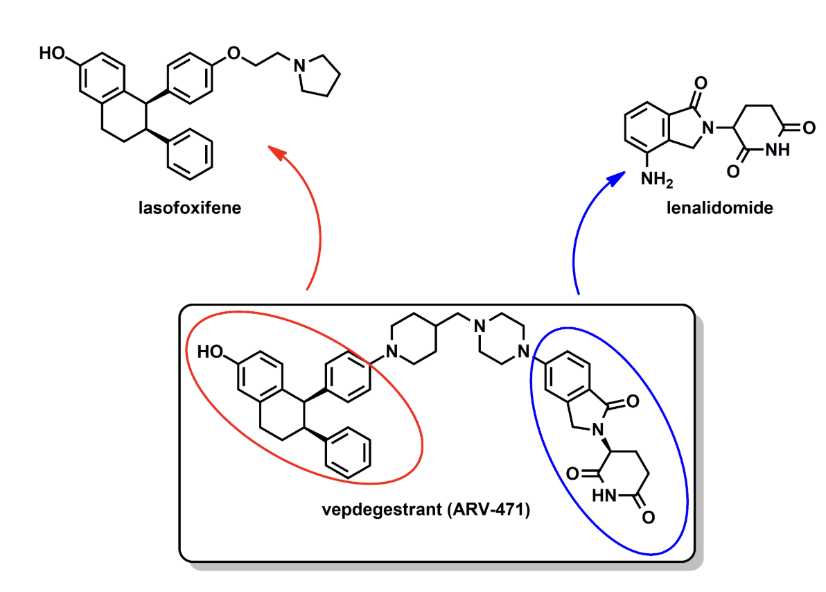Synthesis of Vepdegestrant (ARV-471): ChemAIRS® Route Design for the First Approved PROTAC&nbsp;