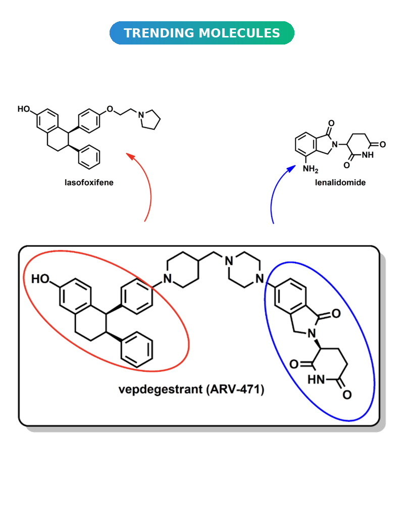 Synthesis of Vepdegestrant (ARV-471): ChemAIRS® Route Design for the First Approved PROTAC&nbsp;