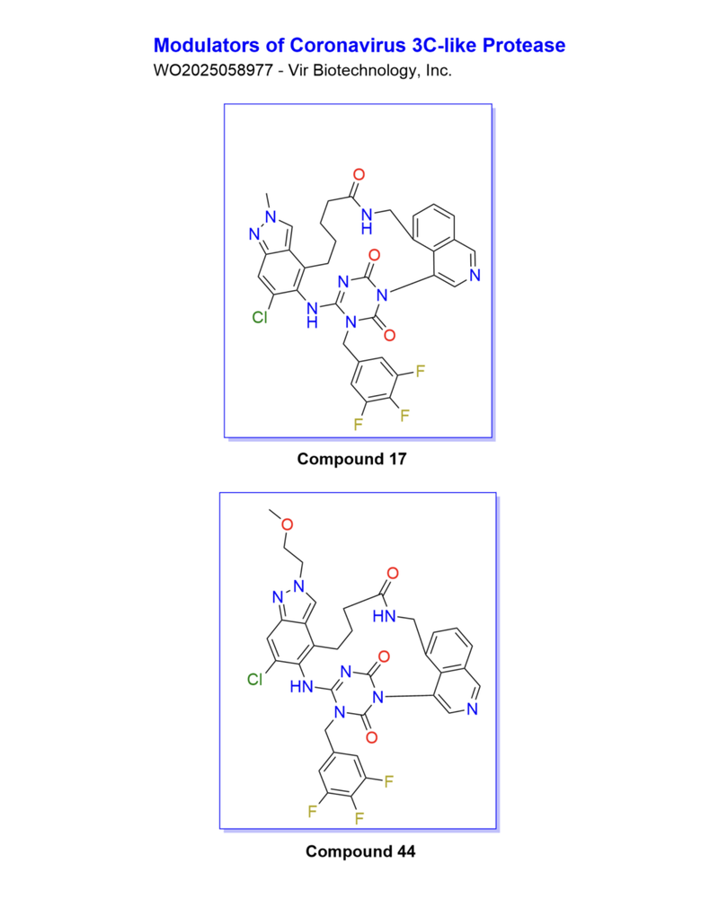 ChemAIRS-Driven Route Design for Macrocyclic 3CLpro Inhibitors: Streamlining Access to Promising Anti-Coronavirus Therapeutics_EP22
