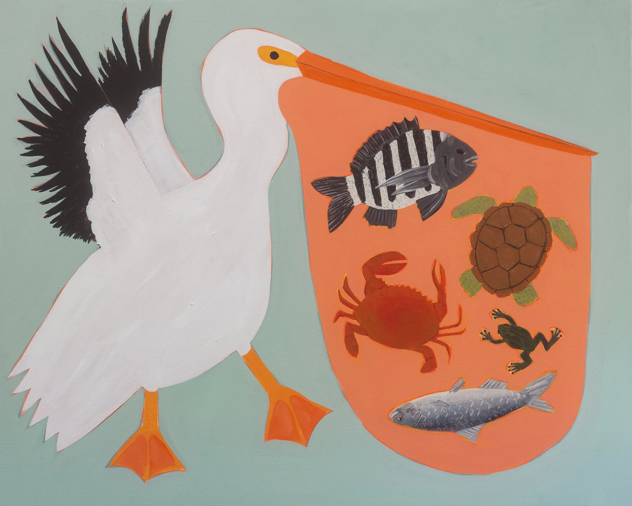 A Pelican's Lunch
