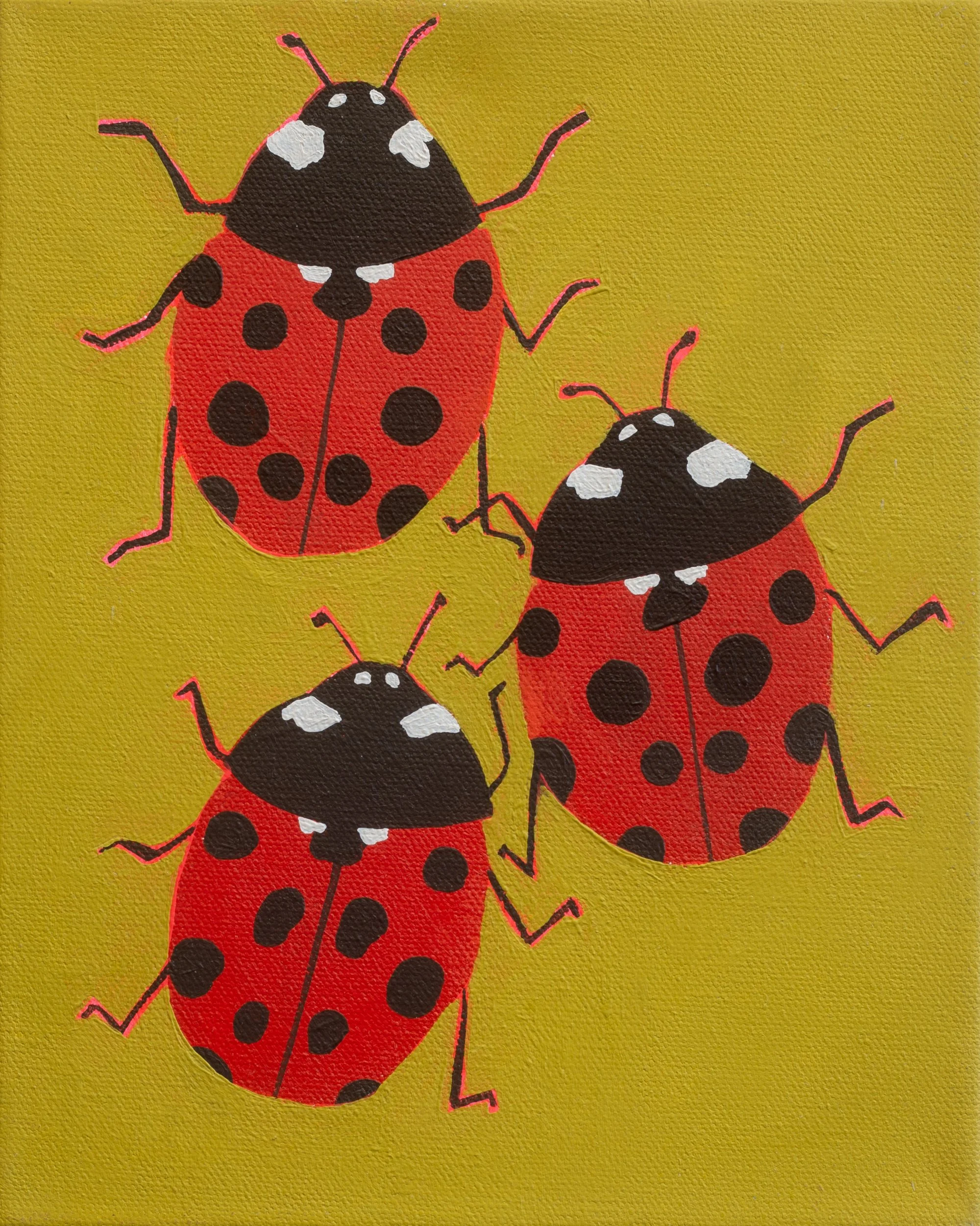 Ladybugs