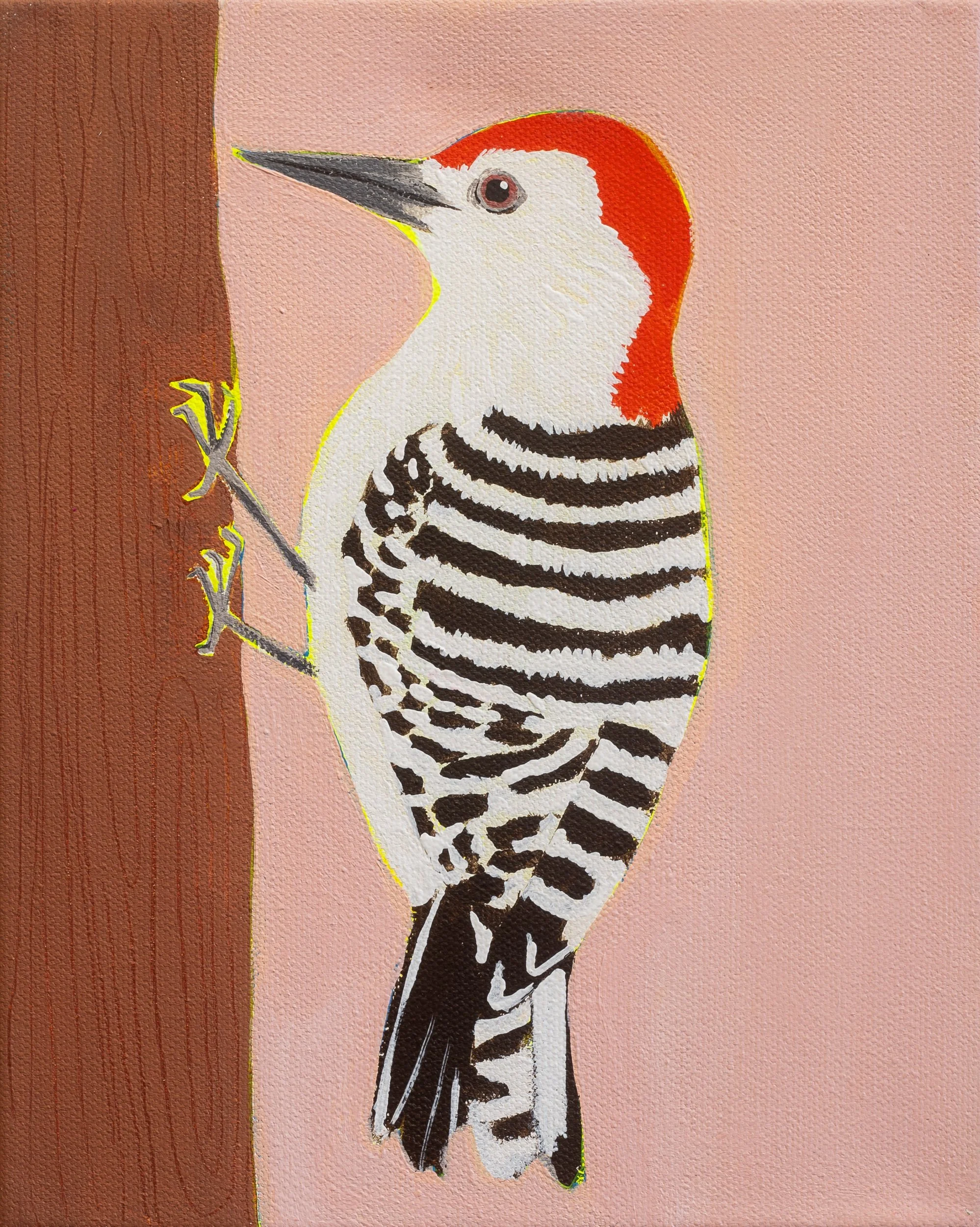 Woodpecker