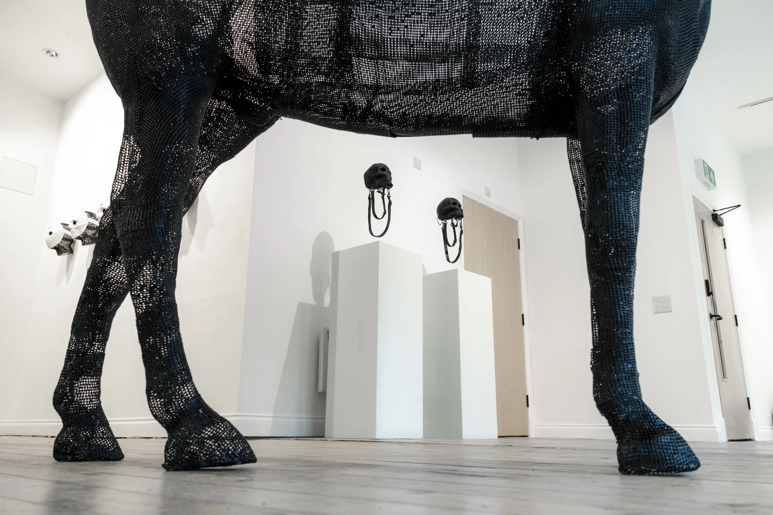 Aitor Throup, FROM THE MOOR, Introductory Exhibition at OneTwoThree Gallery