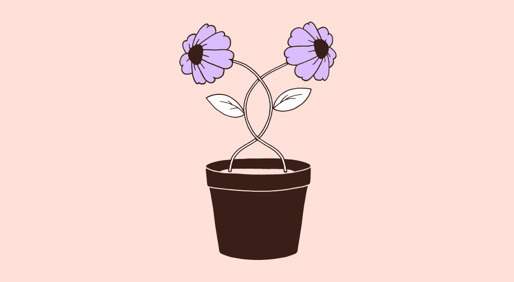 6641d666dce6a564ec066a62_EAP 2.0 (3).png