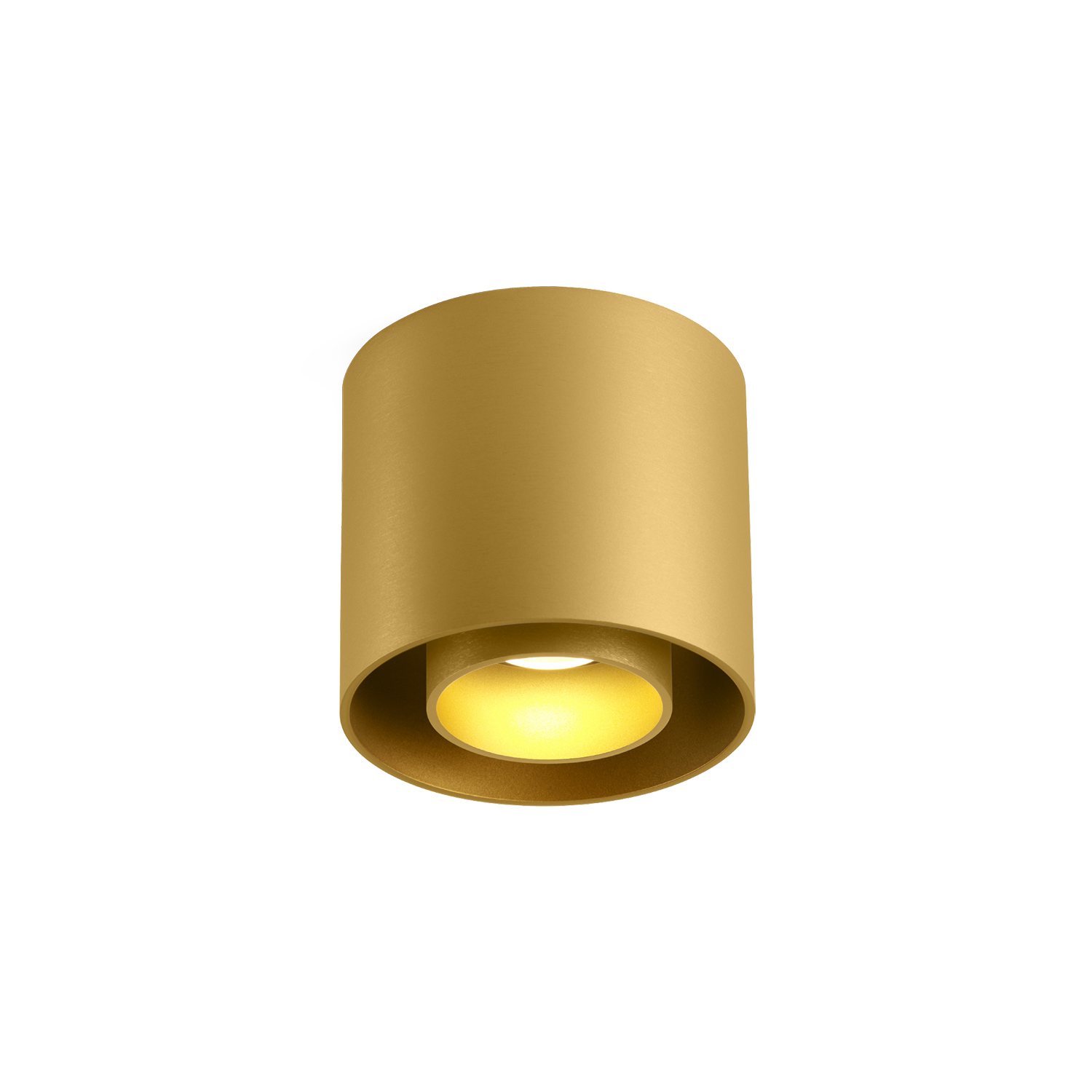 RAY_1.0_LED_gold-texure_+gold-cover.png