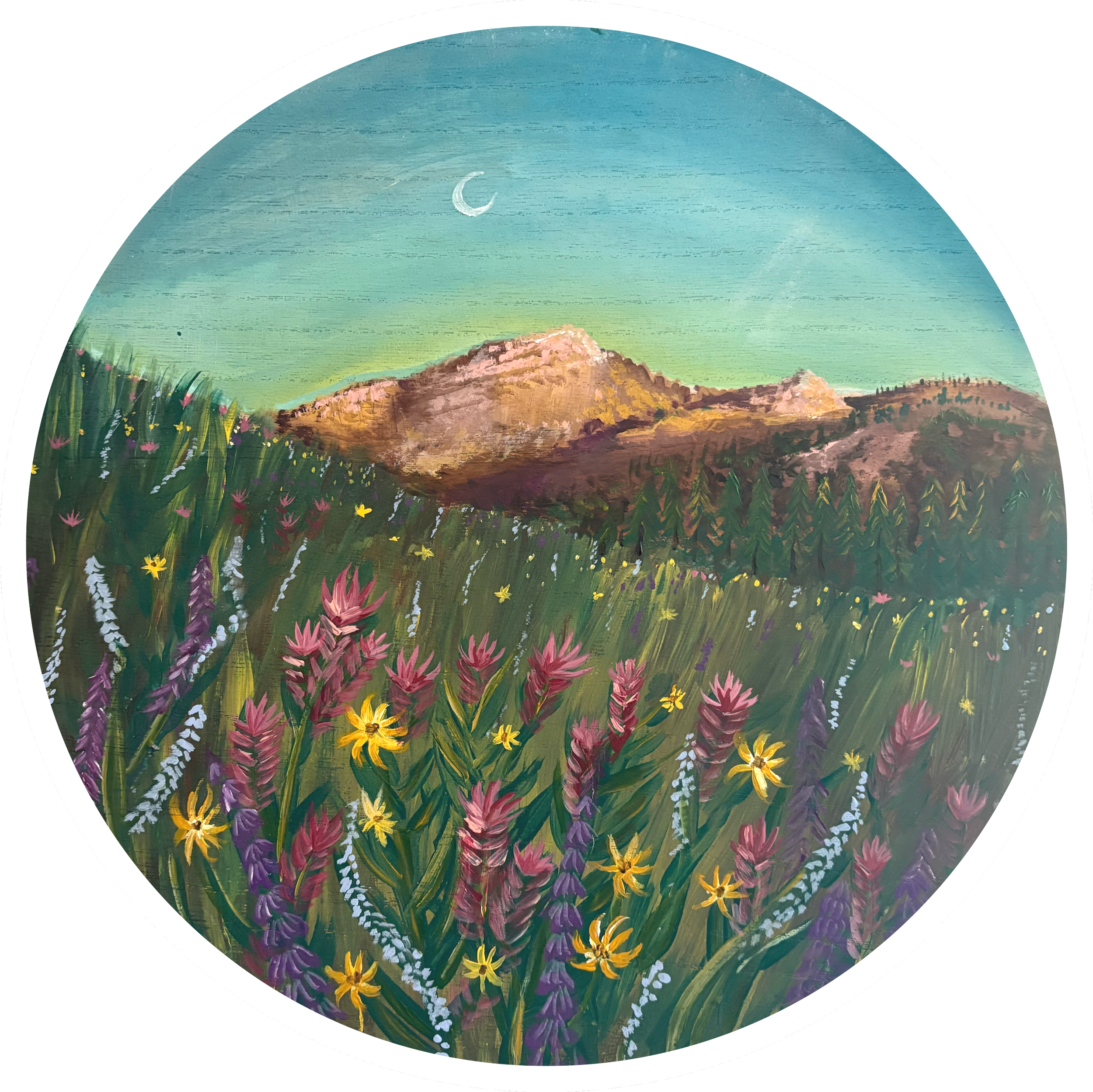 Albion Basin
15x15" Acrylic on Wood
"Wildflowers" Series -2024