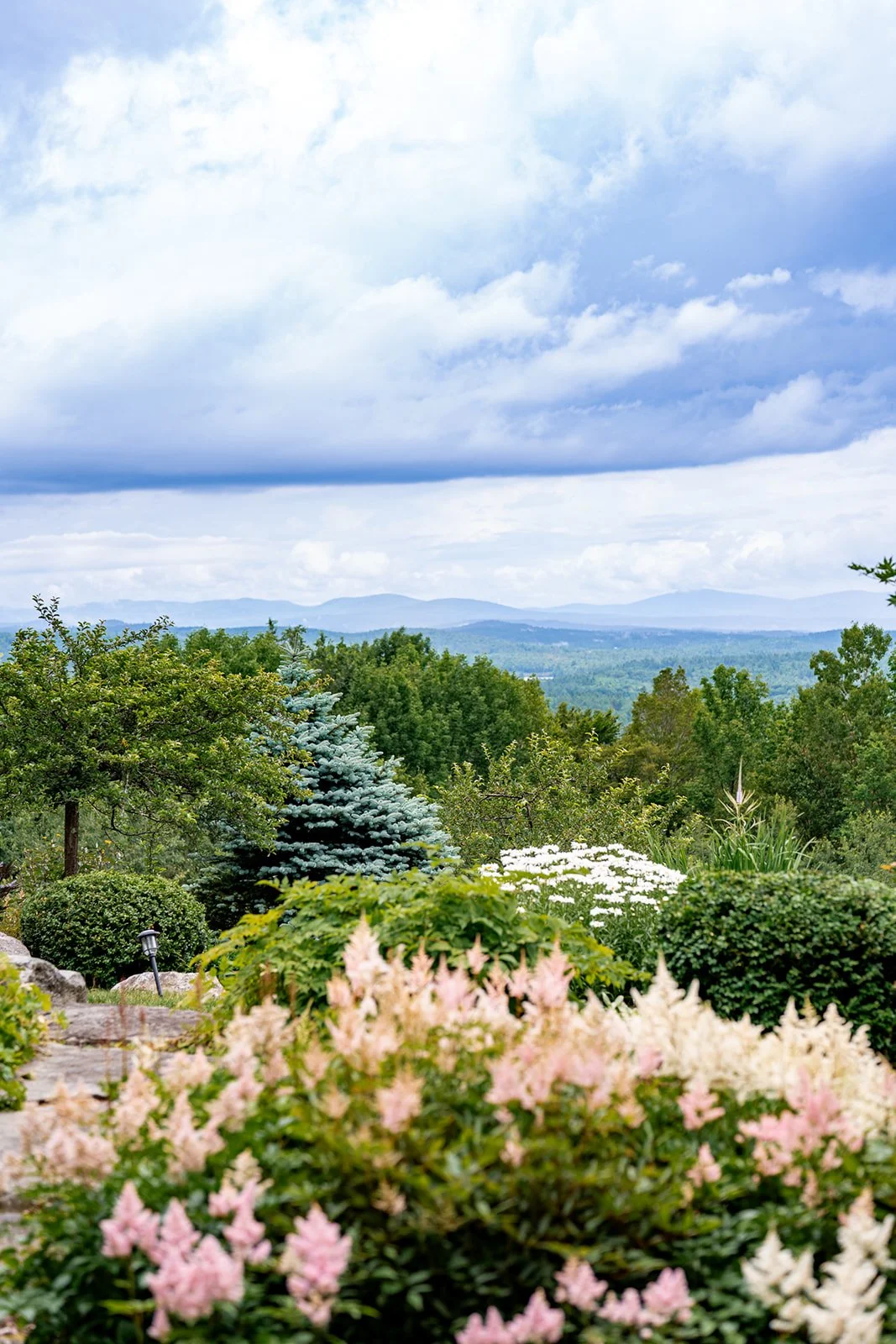 A lush garden with various green trees and blooming flowers, with mountains and a blue sky with clouds in the background.
