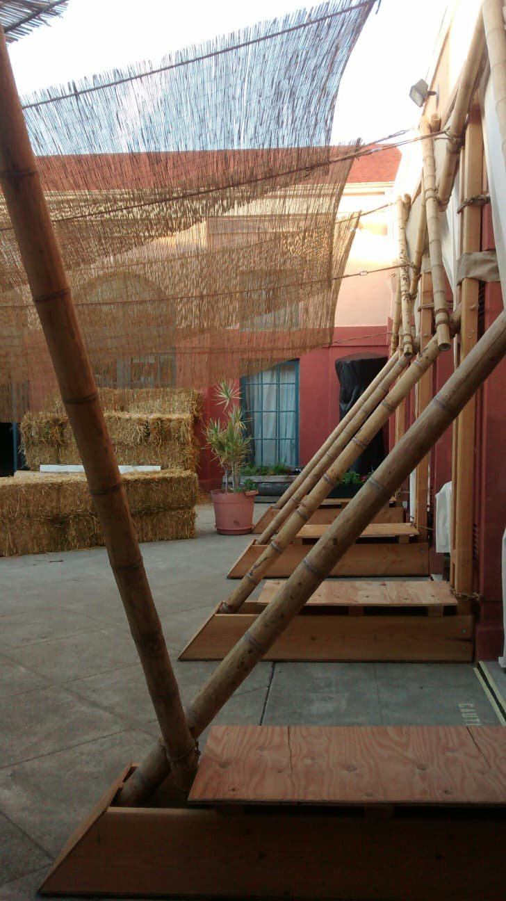 WhatsApp Image 2026-03-25 at 3.43.58 PM.jpeg