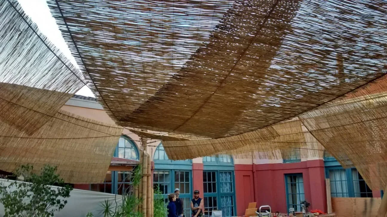 WhatsApp Image 2026-03-25 at 3.43.59 PM.jpeg