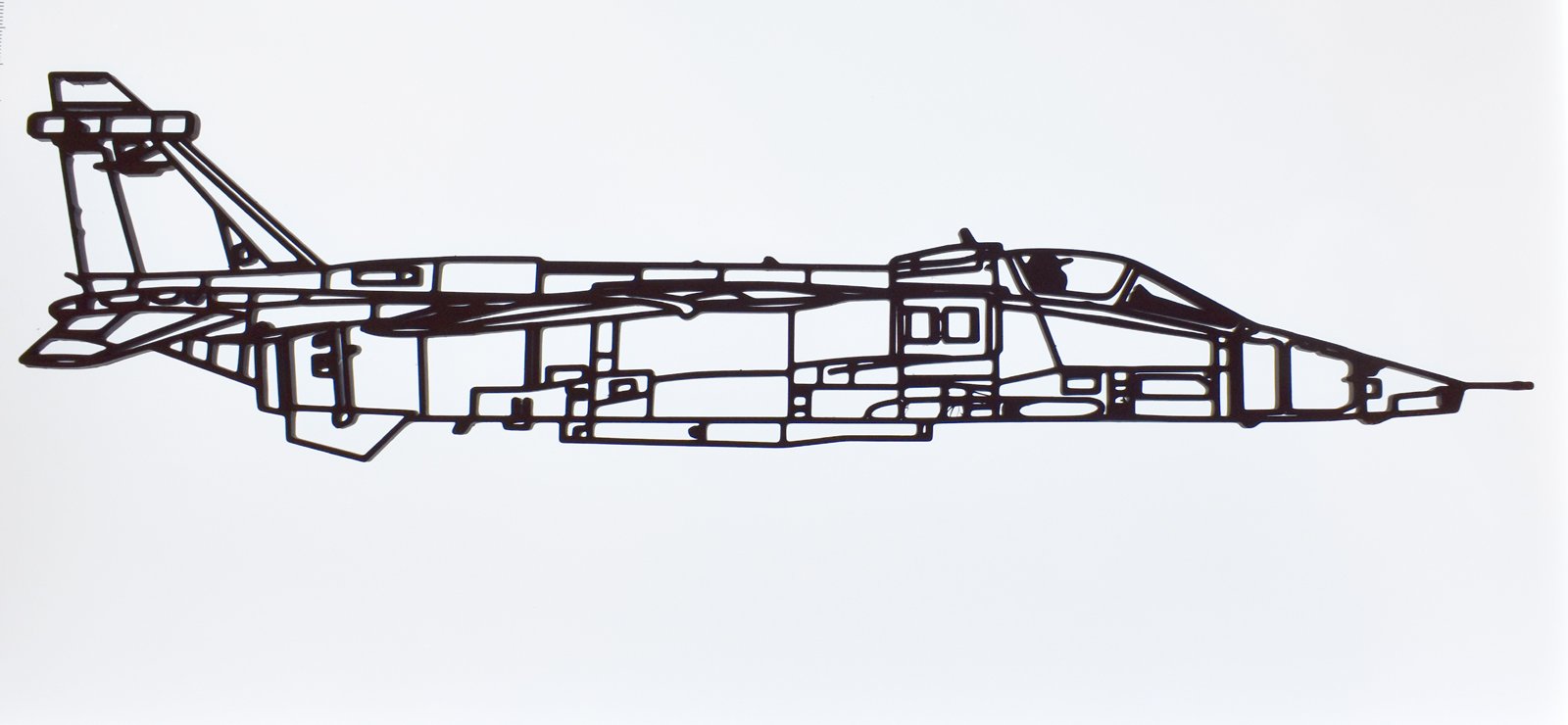 Jaguar Side Profile - Worked_4.jpg