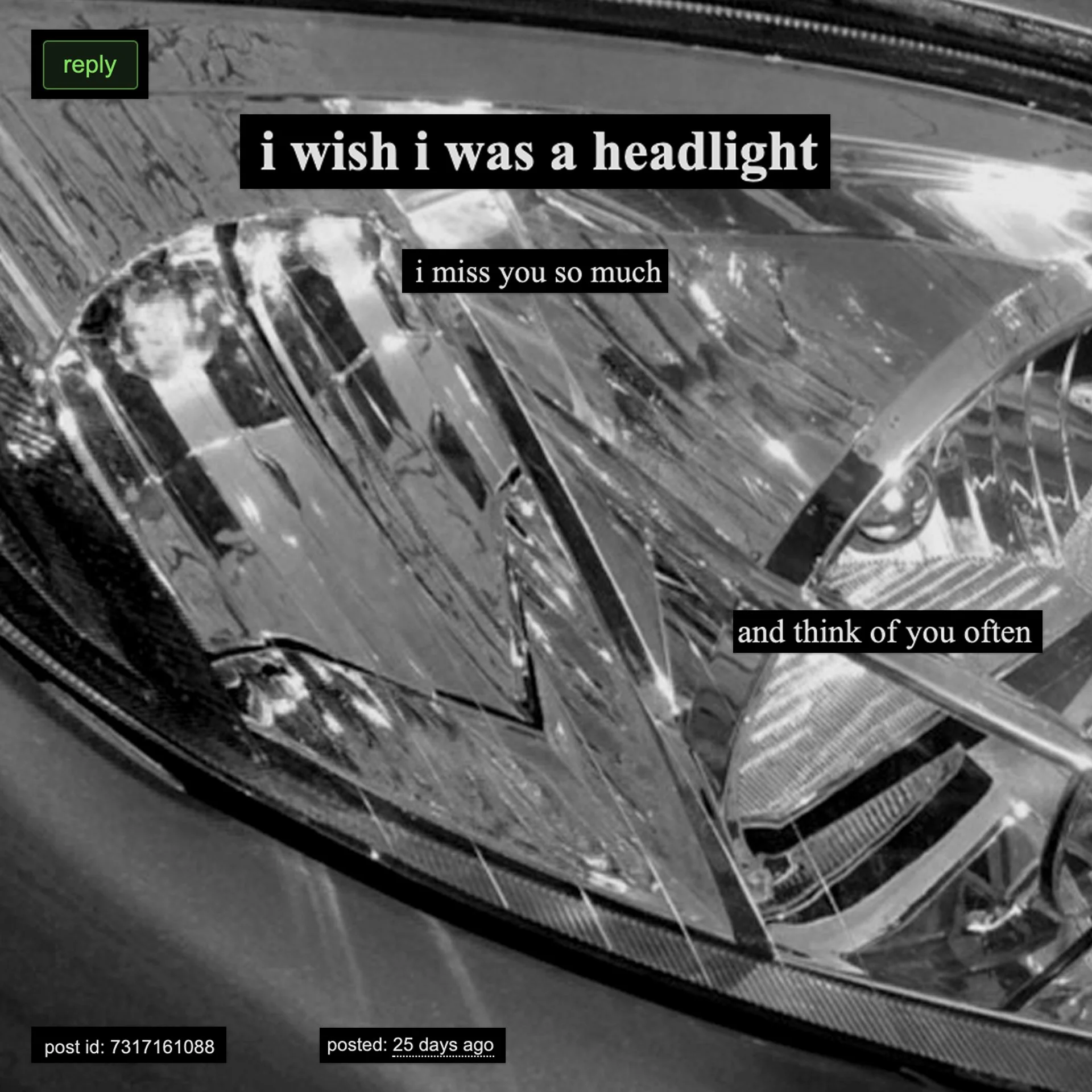 i wish i was a headlight.jpg
