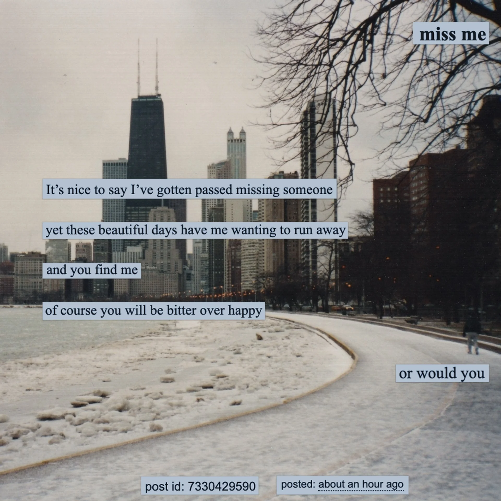 miss me.jpg