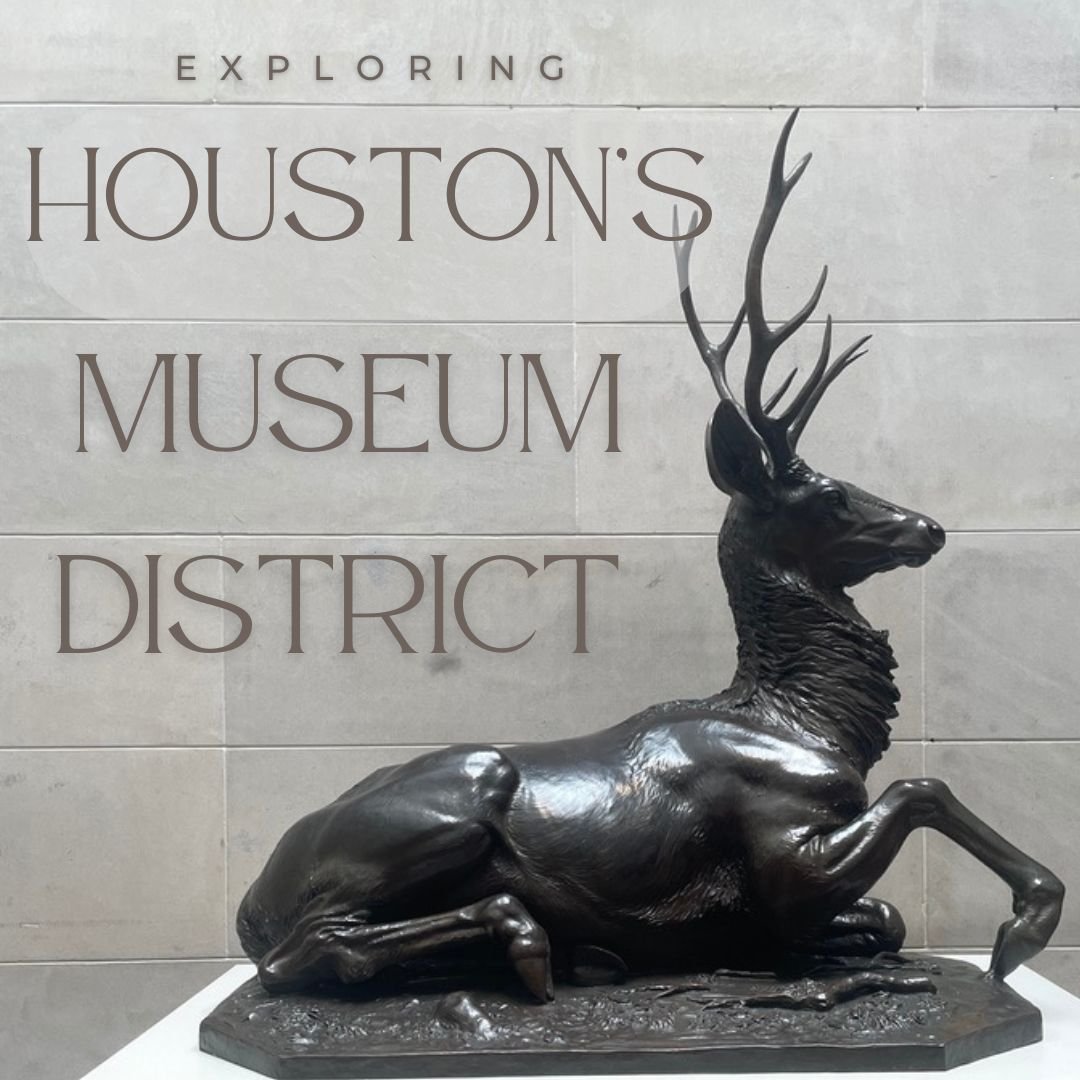 The Best Museums to Explore in Houston’s Museum District