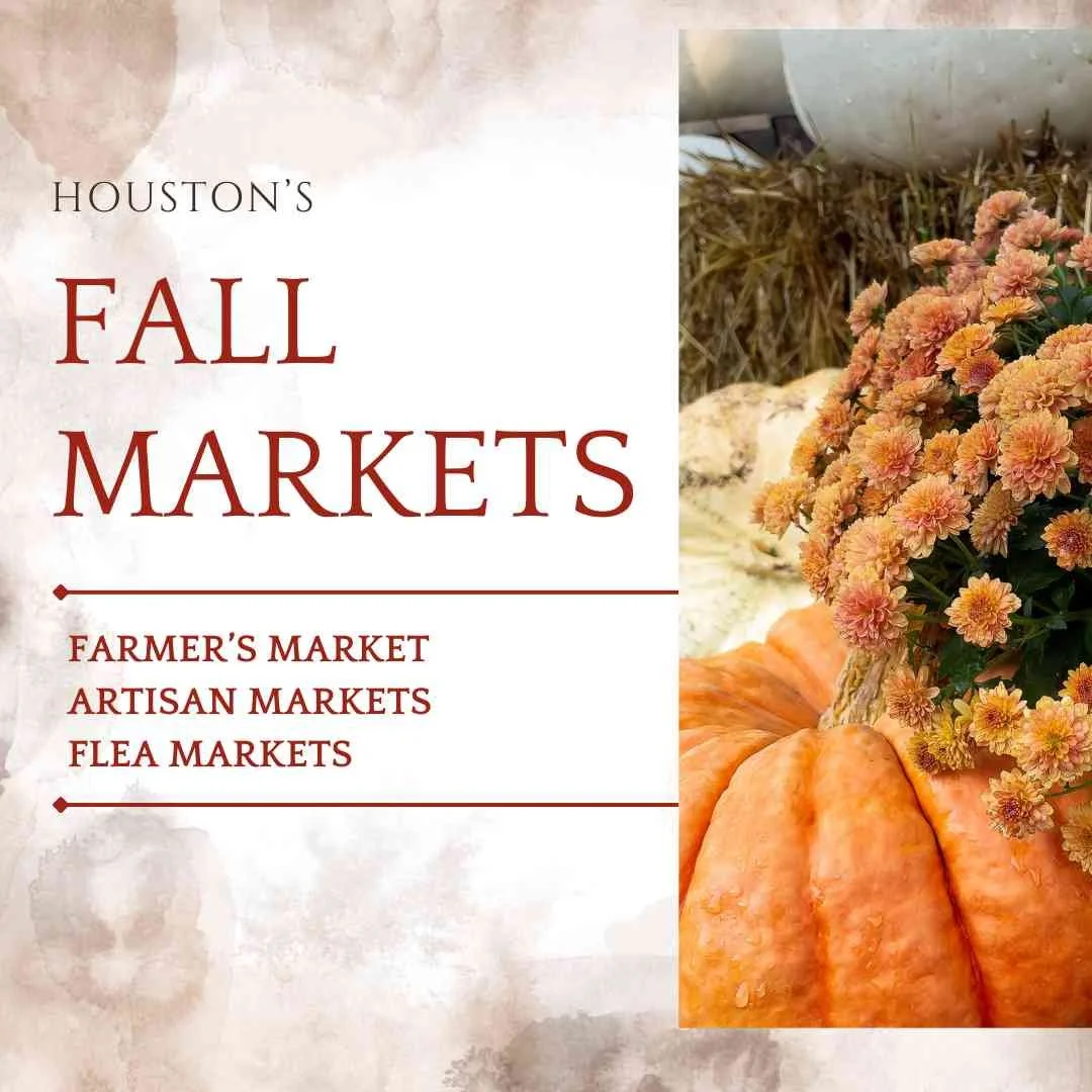 Best Fall Markets in Houston for 2025