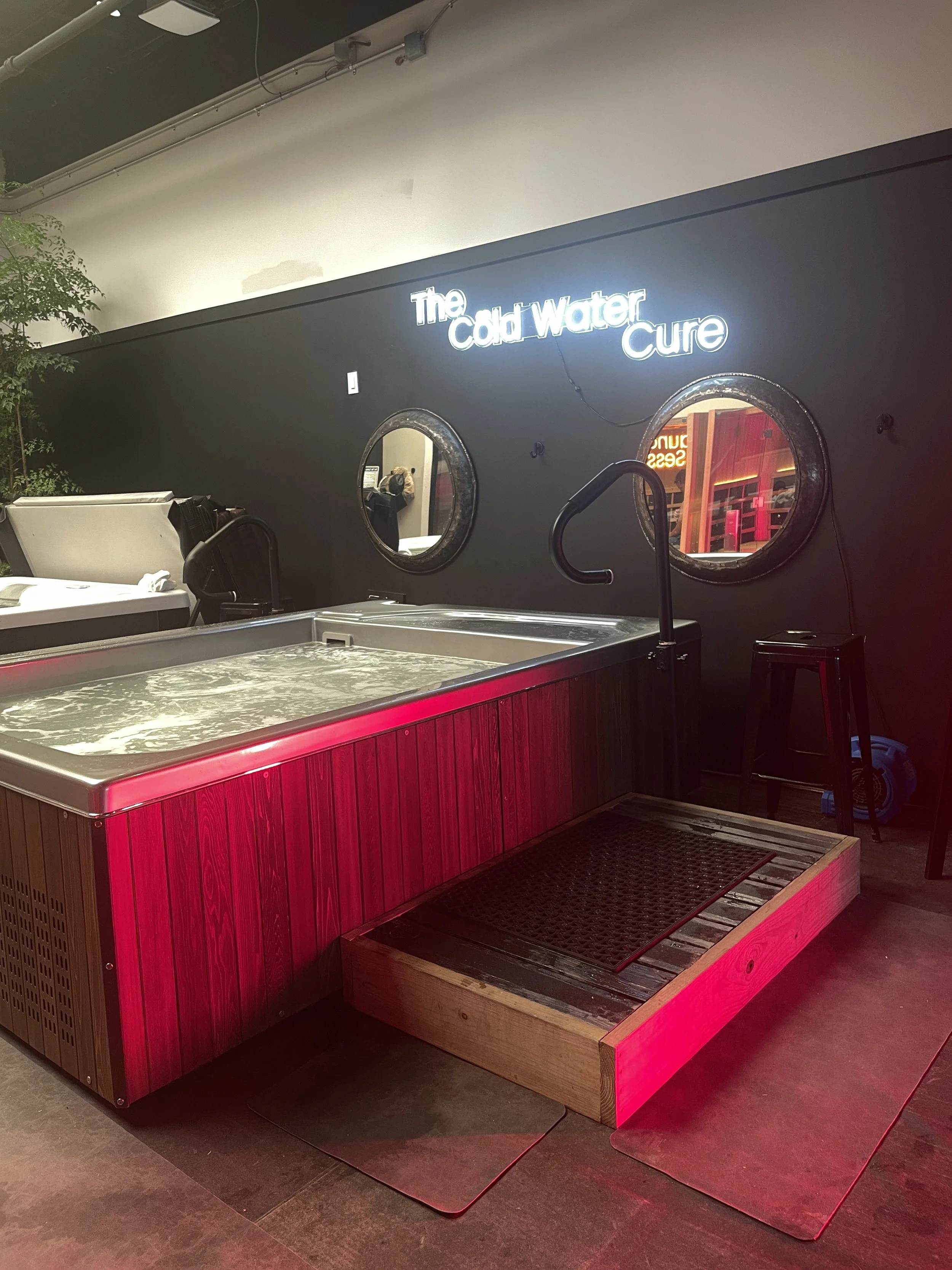  Cold plunge tub at Löyly Sauna Lounge, Houston spa with contrast therapy  