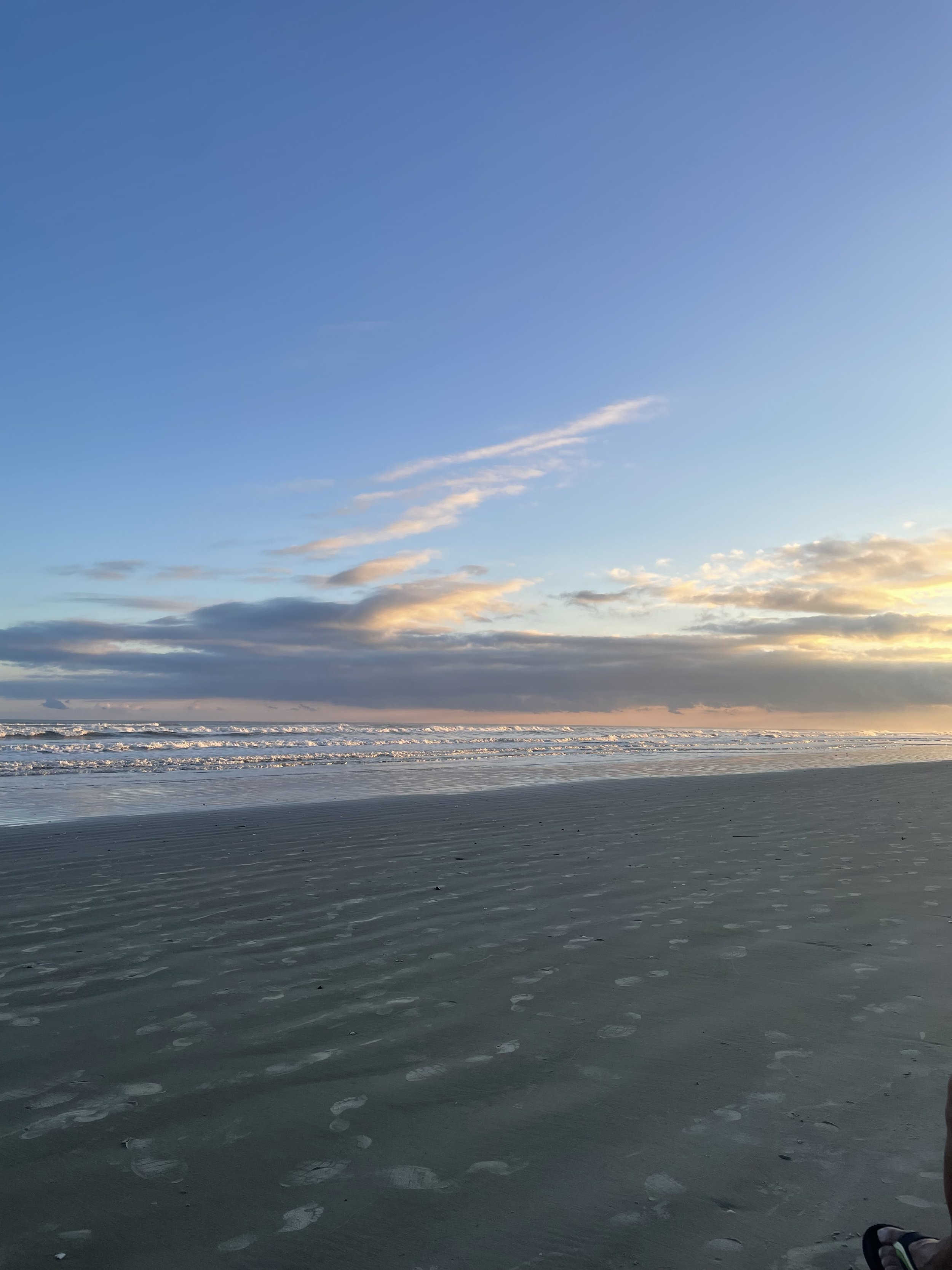 Discover Exciting Day Trips from Houston