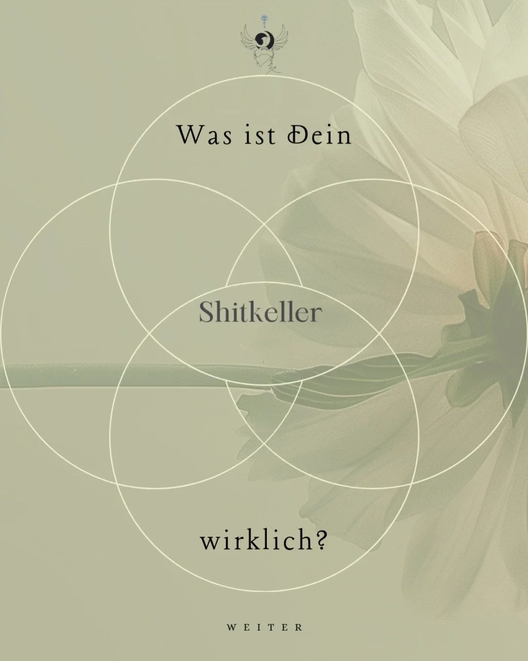 Was ist Dein Shitkeller wirklich?

Kennst Du das Gef&uuml;hl, dass Du immer wieder gegen dieselben inneren Mauern l&auml;ufst? Dein &bdquo;Shitkeller&ldquo; ist der Ort, an dem Deine tiefsten Glaubenss&auml;tze verborgen liegen &ndash; &Auml;ngste, S