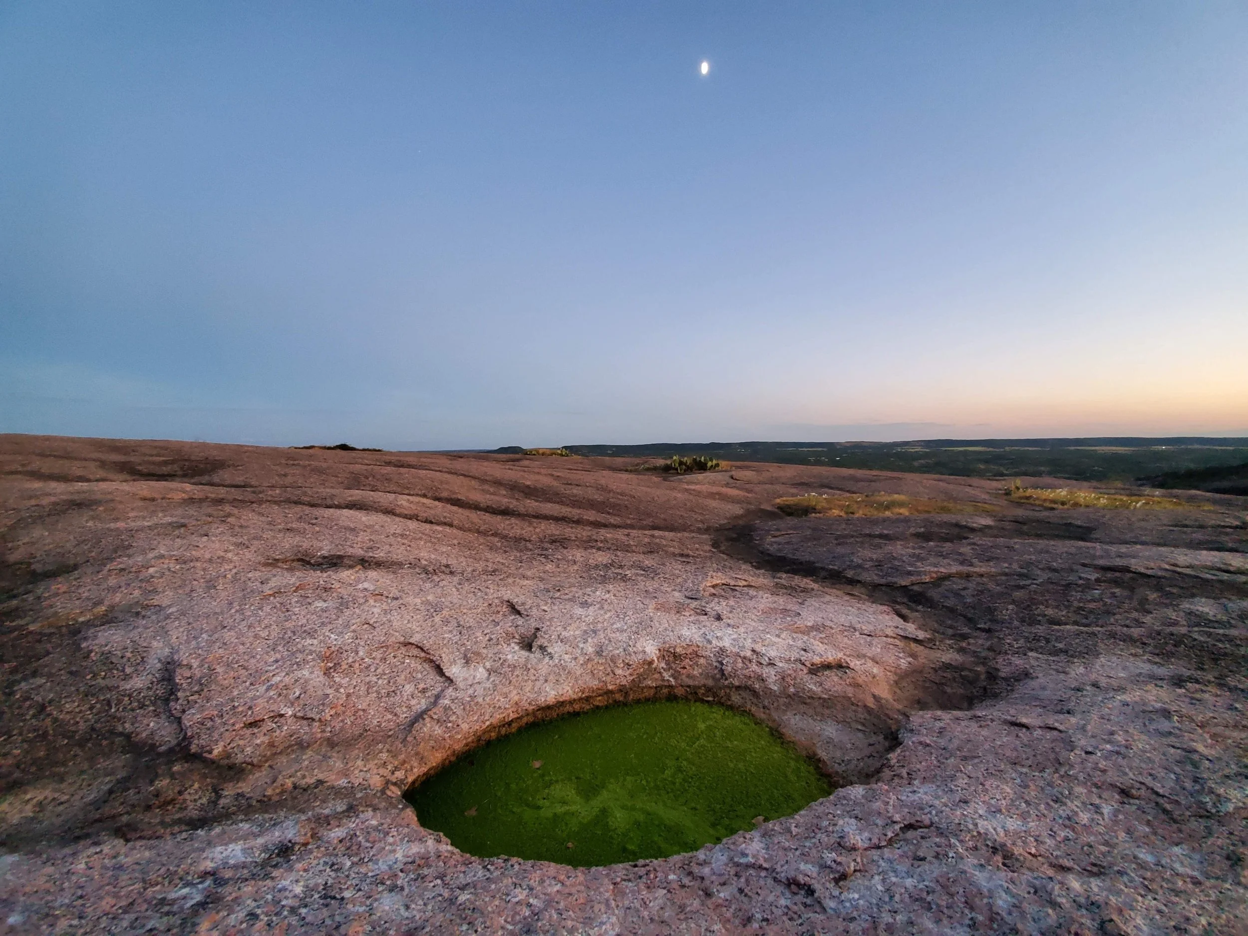 Individual In-person or Virtual Session