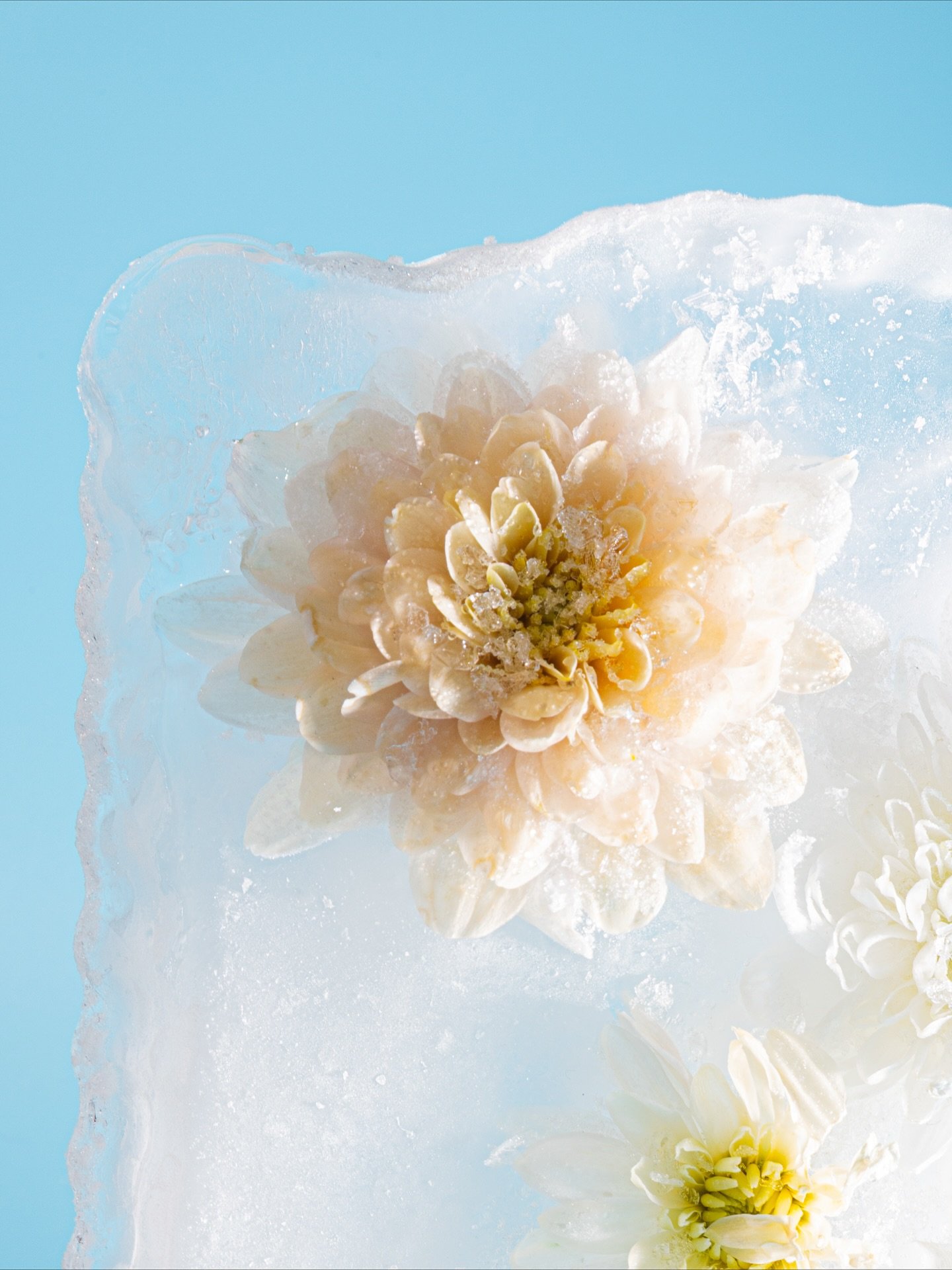 Creative bucketlist: ijsfotografie 🧊

Dit idee lag al een tijdje in de vriezer (letterlijk 😅). 

Wie had gedacht dat ijs zo fotogeniek kon zijn? Koud aan de vingers, maar z&oacute; leuk om mee te spelen! ❄️ Hoe het licht door het ijs schijnt blijft