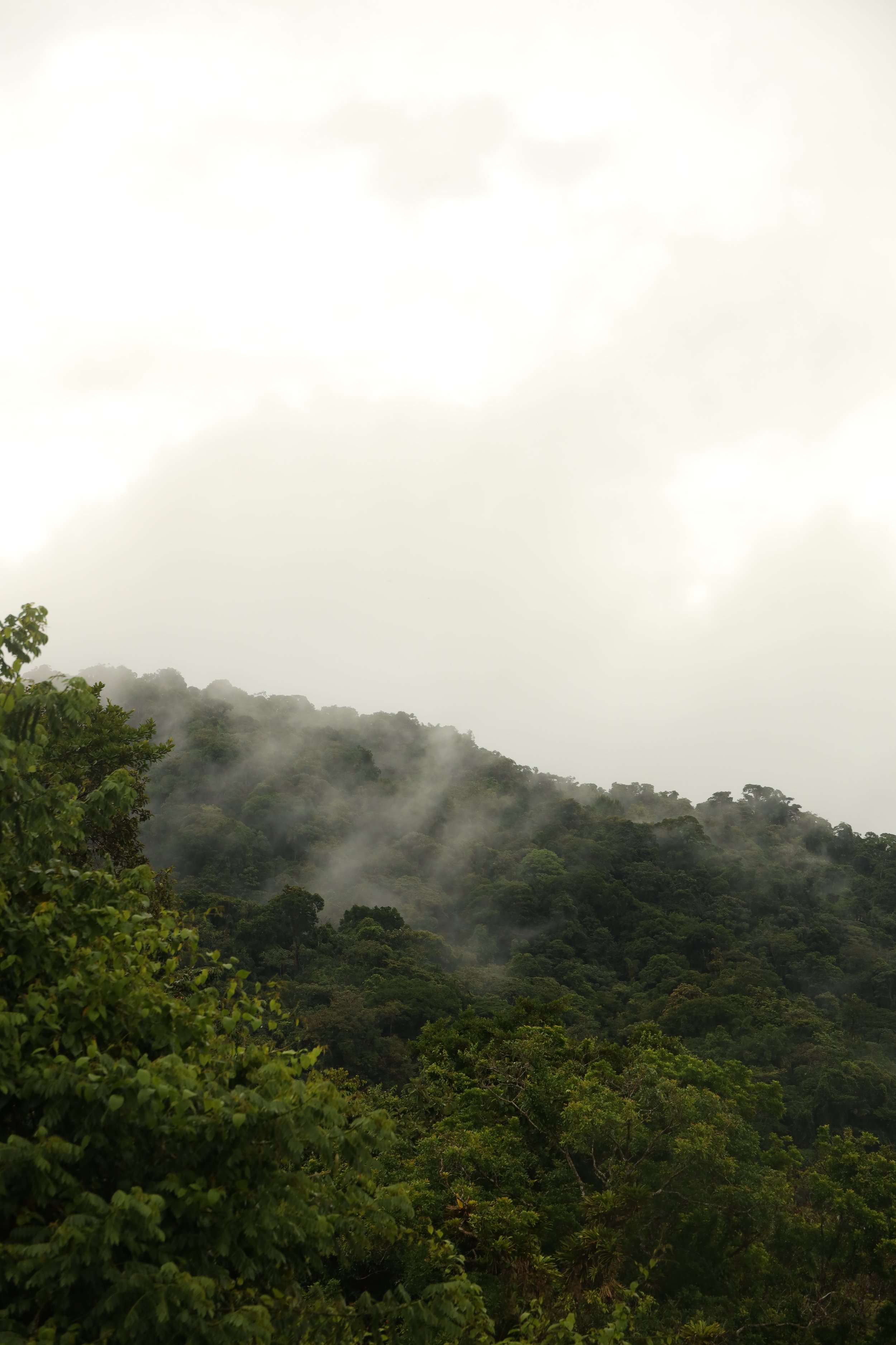 abrazo de niebla.JPG
