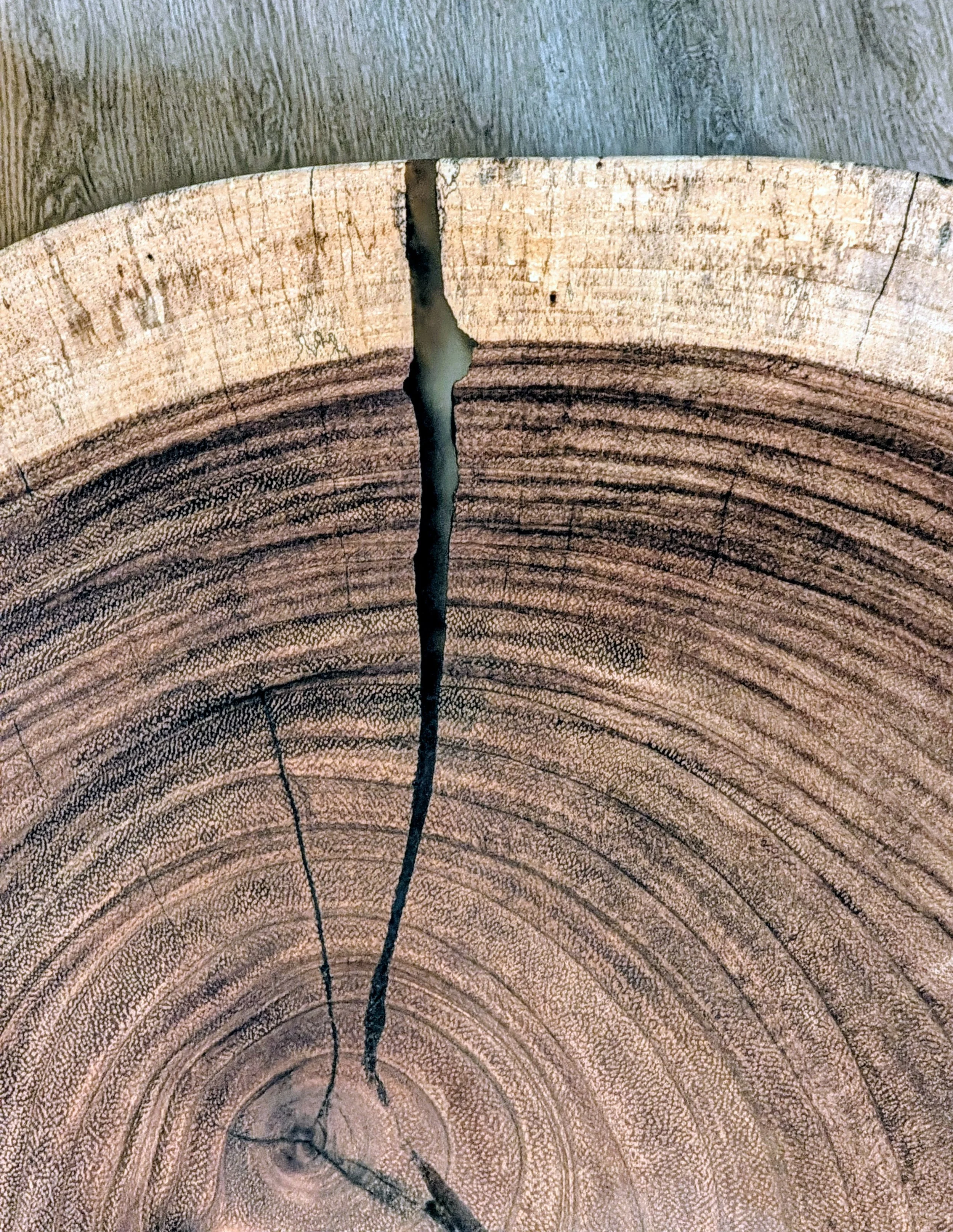 3170.jpg