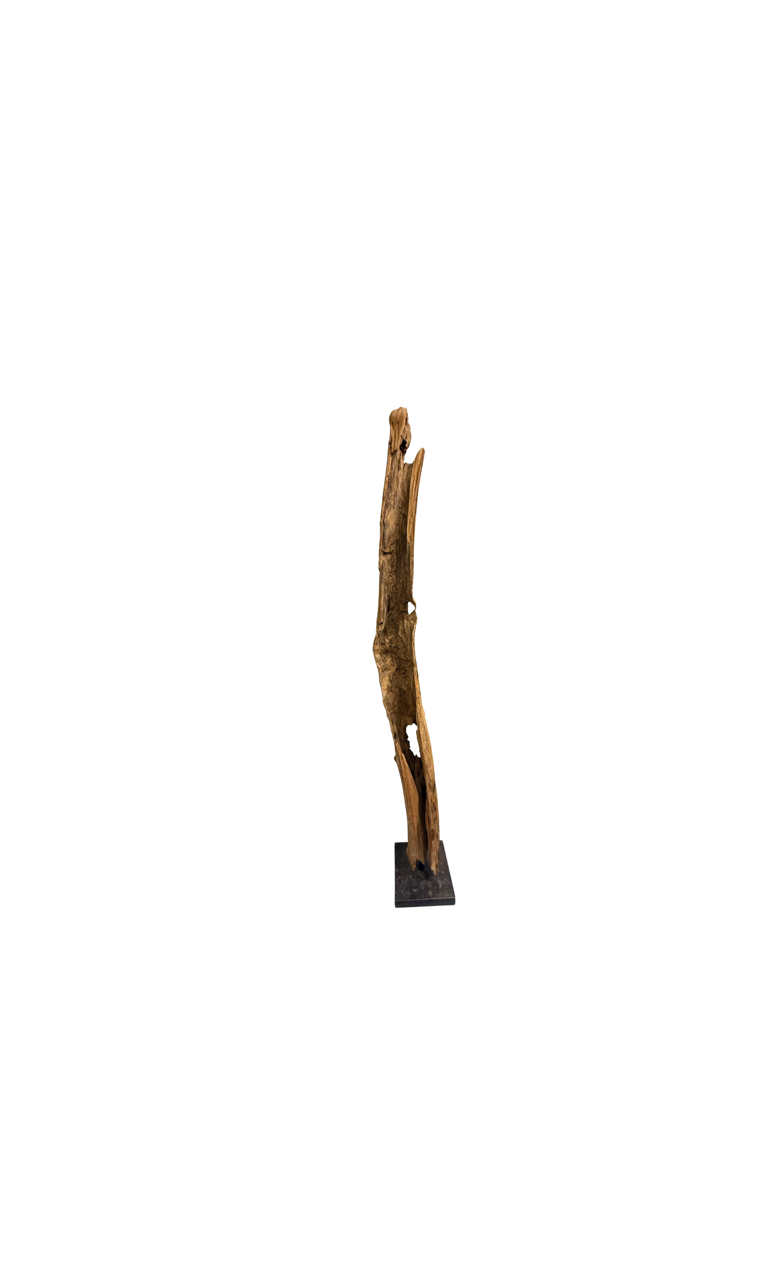 Website Images (2).png
