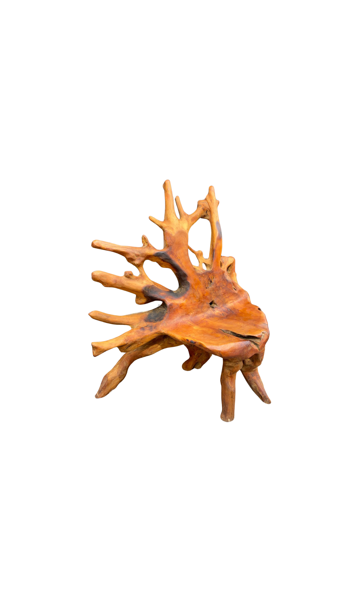Vintage Paso Robles Teak Root Sculptural Chair