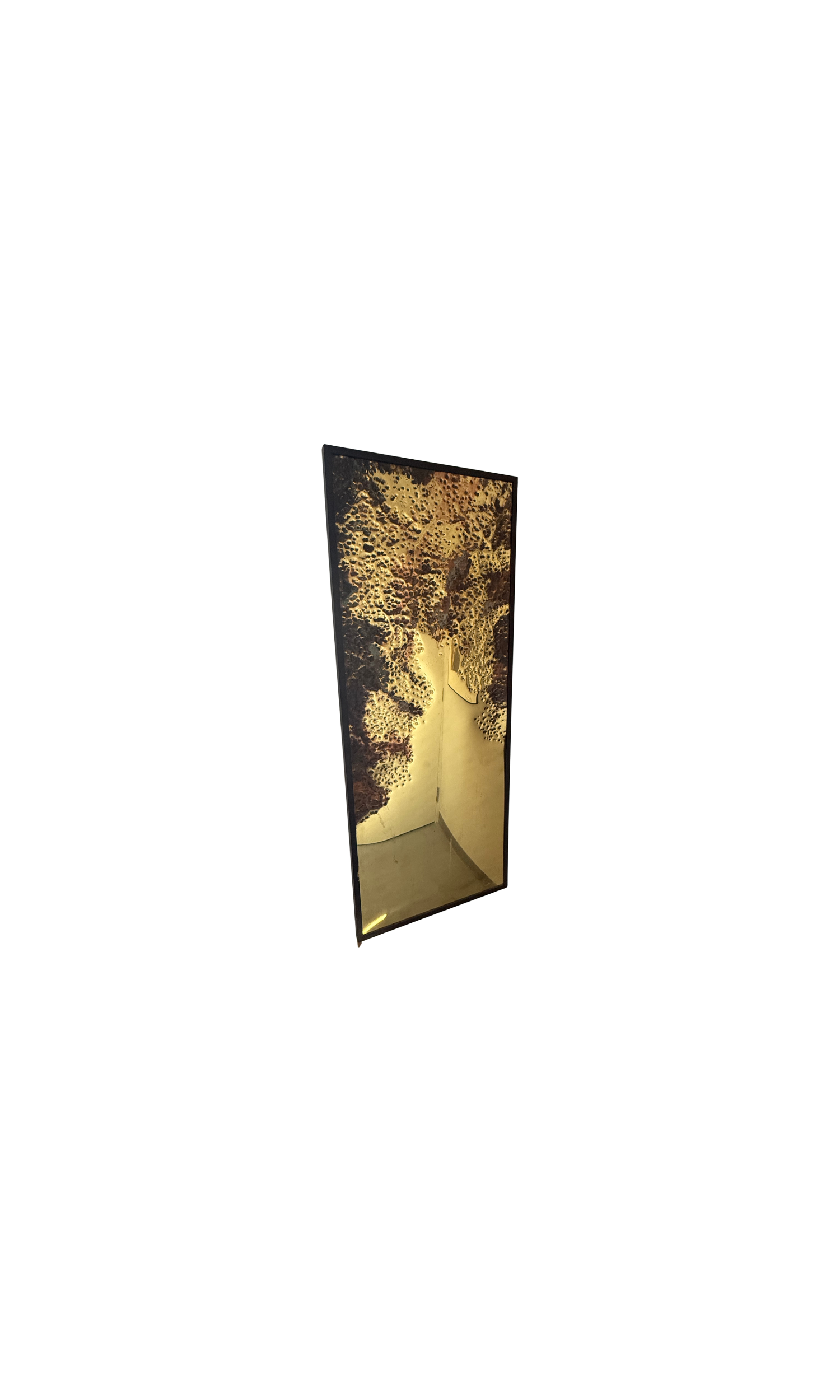 Holisart Contemporary Brass Panel