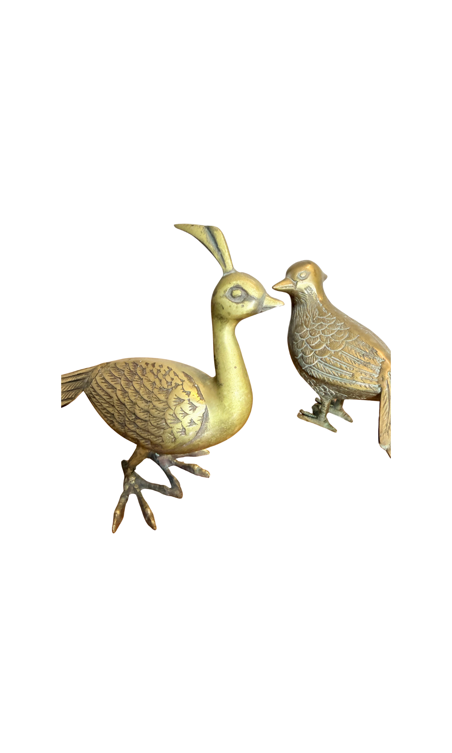 295.png