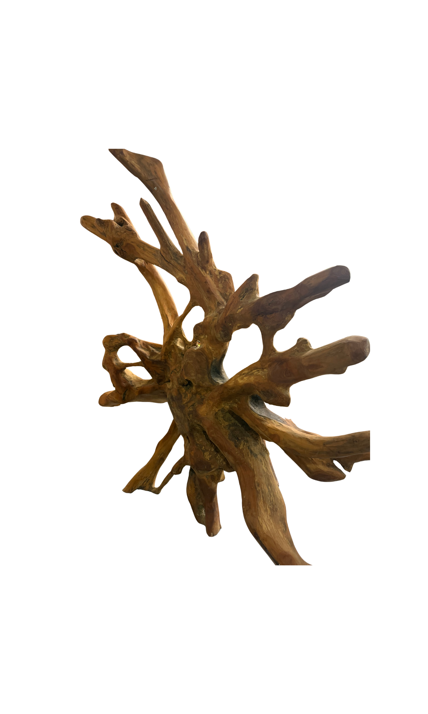 42.png