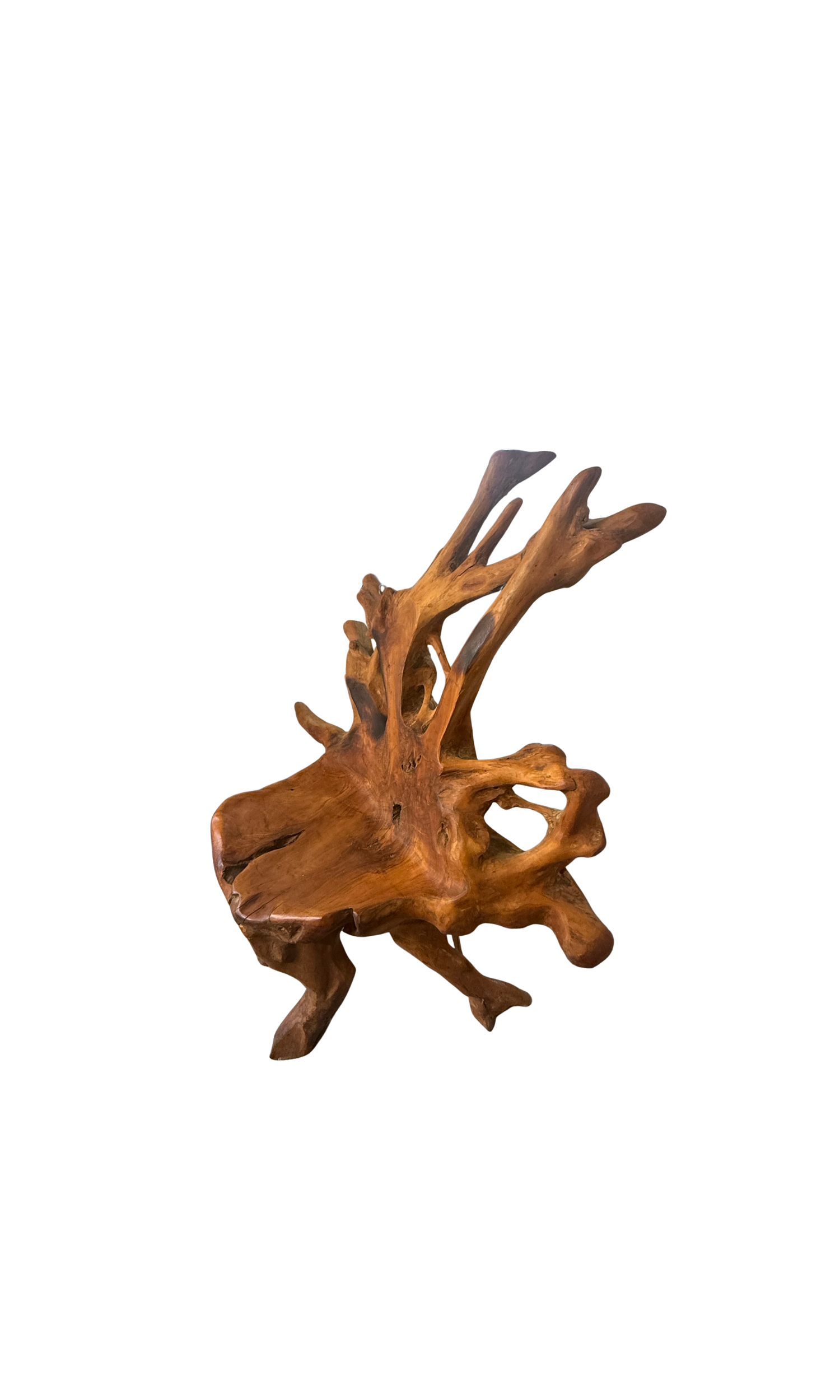 44.png