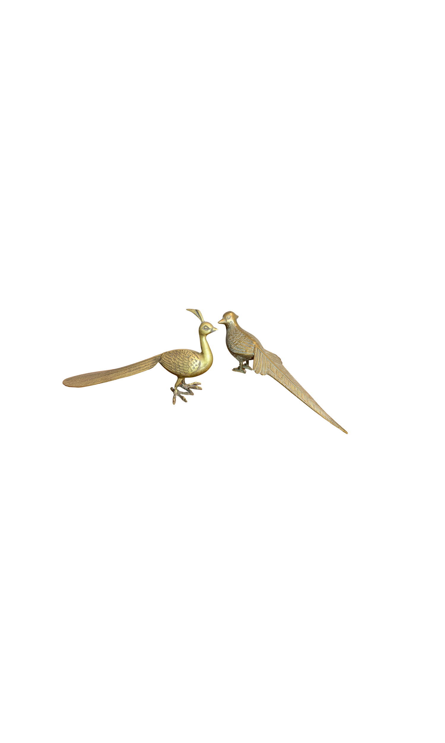 294.png