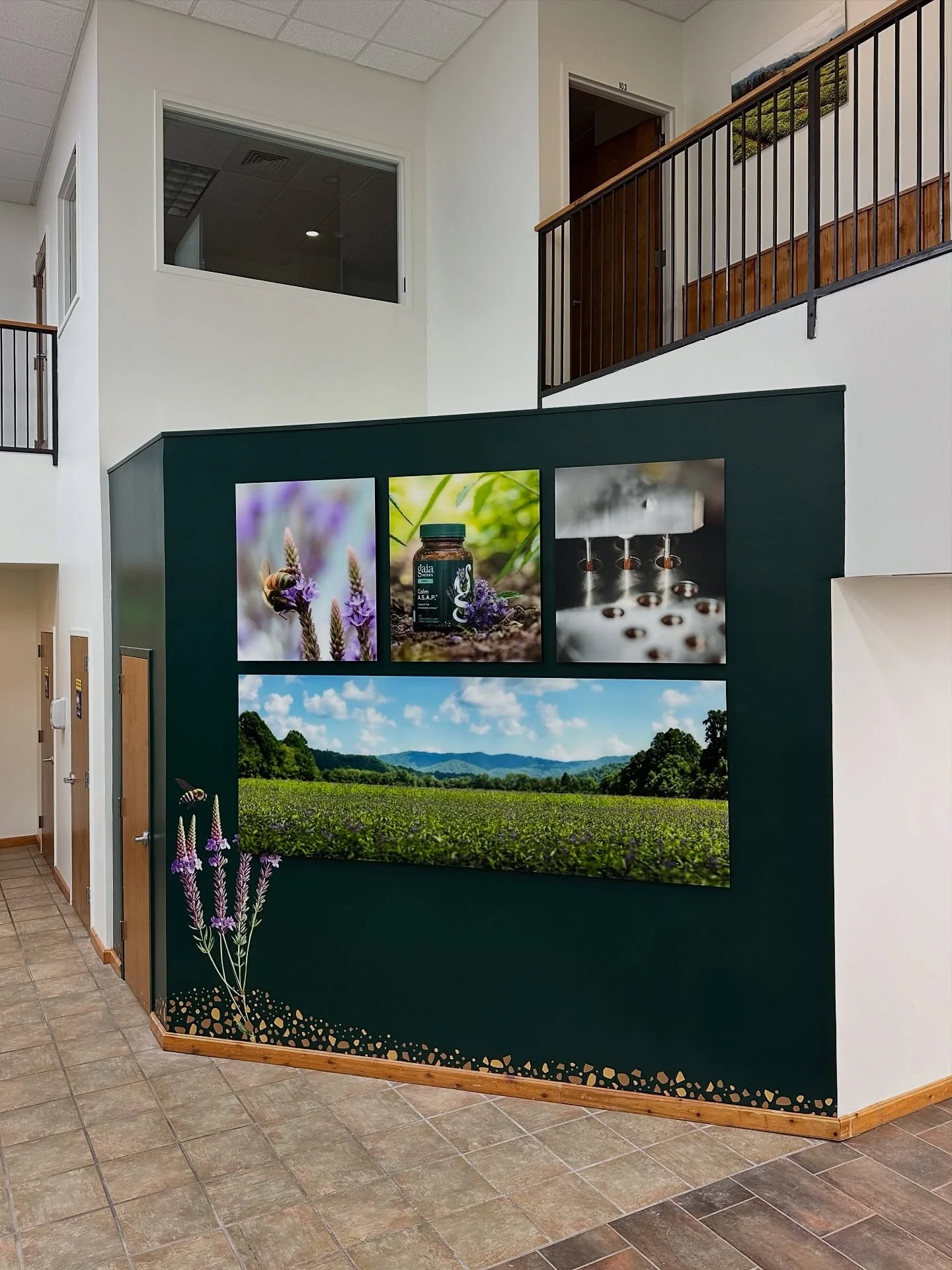 Large scale face mounted acrylic prints and 8ft vinyl print for an 11x11&rsquo; display. 

Fabricated and installed by us for @gaiaherbs headquarters. Always a pleasure!