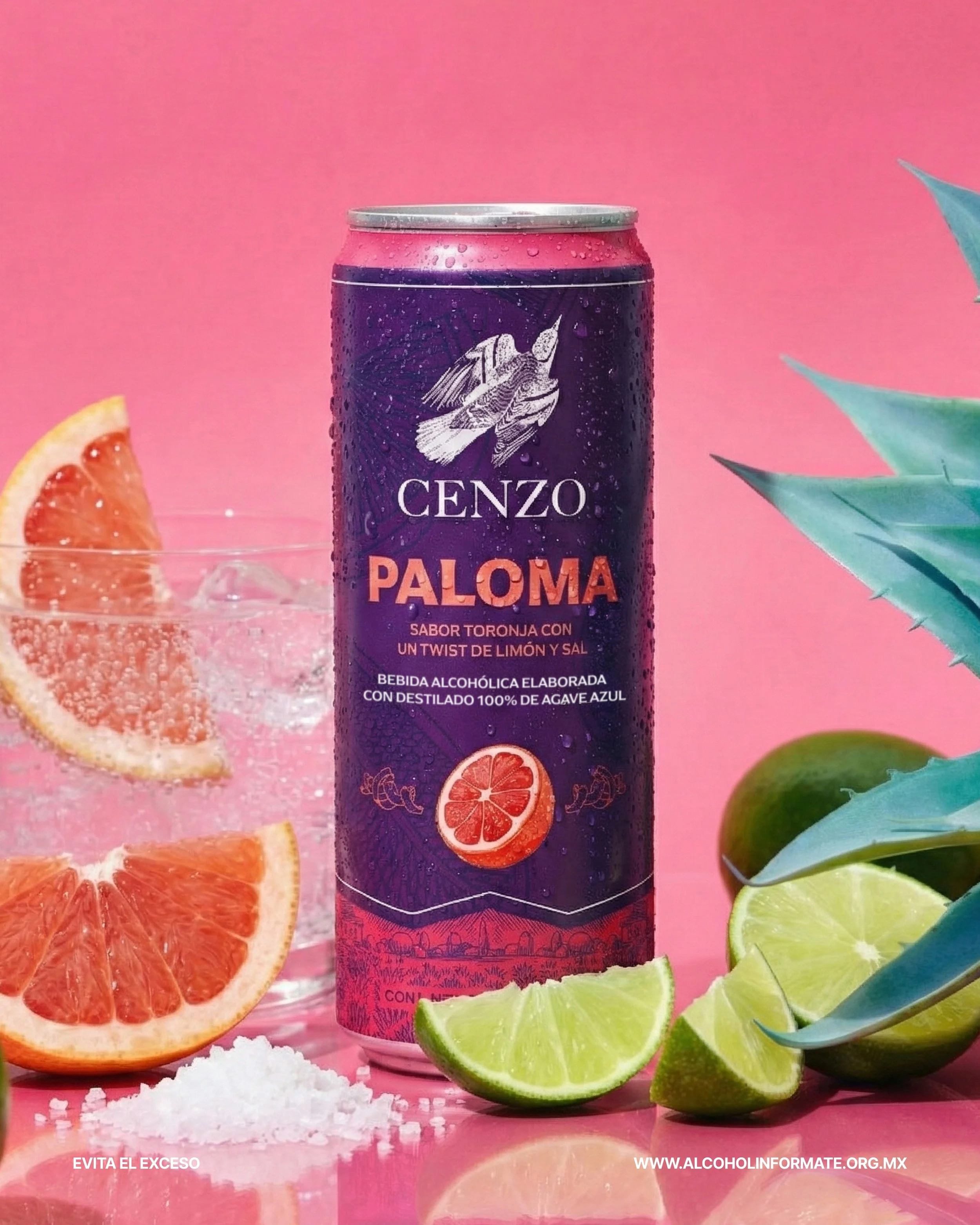 Lata de bebida alcohólica de sabor toronja con limón y sal, con hojas de piña y trozos de toronja y lima, sobre fondo rosado