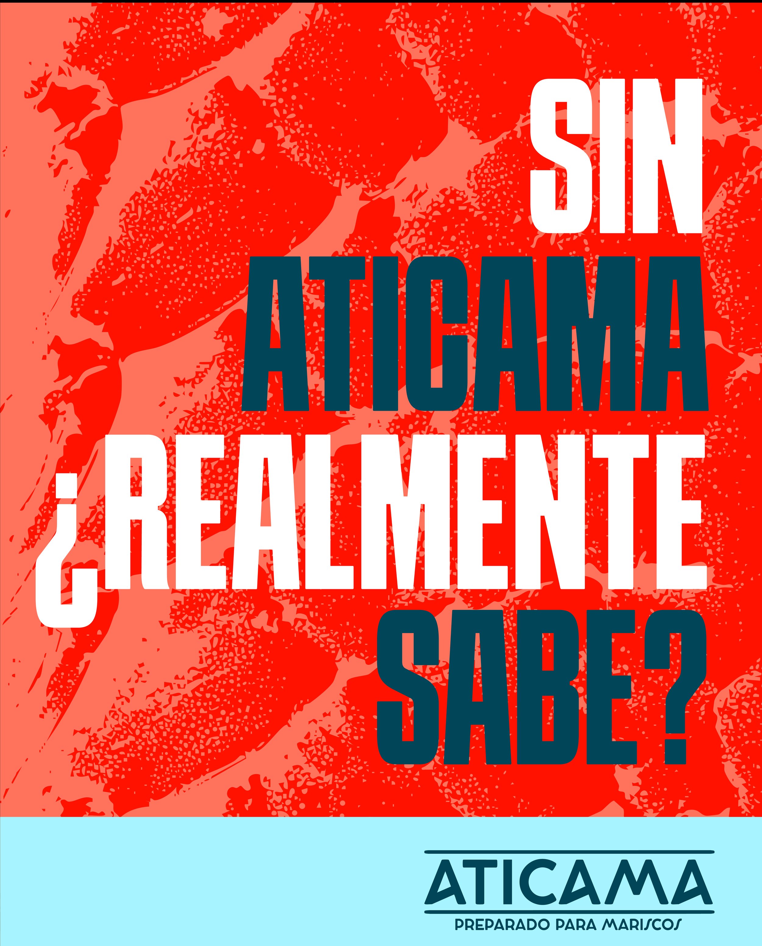 aticama entrea 1 junio-14.jpg